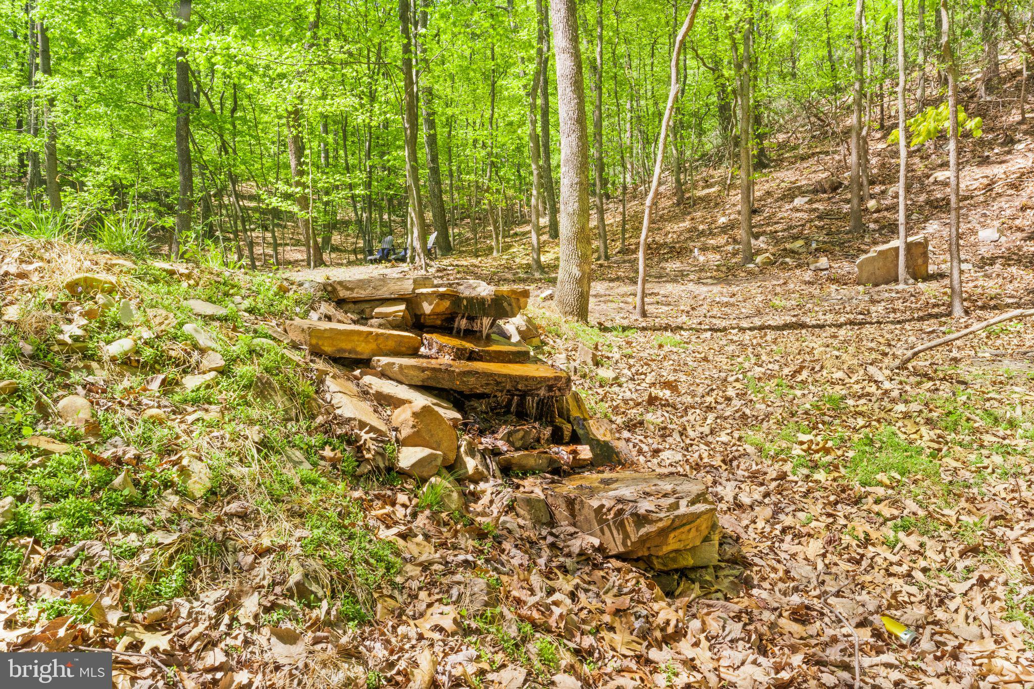 1850 Ridge Road Haymarket, VA 20169 - Photo 73 of 85