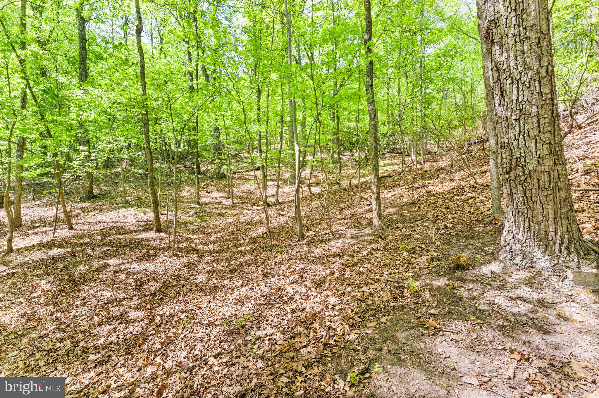 1850 Ridge Road Haymarket, VA 20169 - Photo 76 of 85
