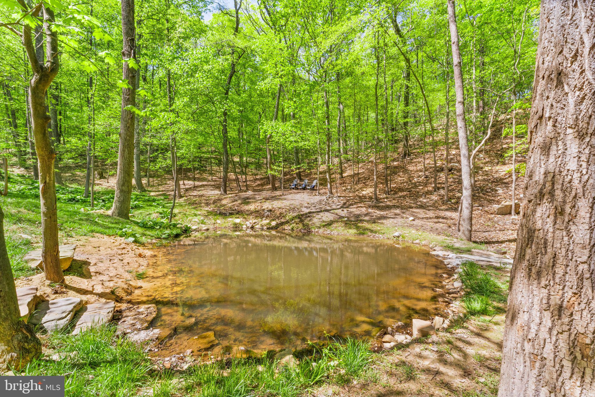 1850 Ridge Road Haymarket, VA 20169 - Photo 77 of 85