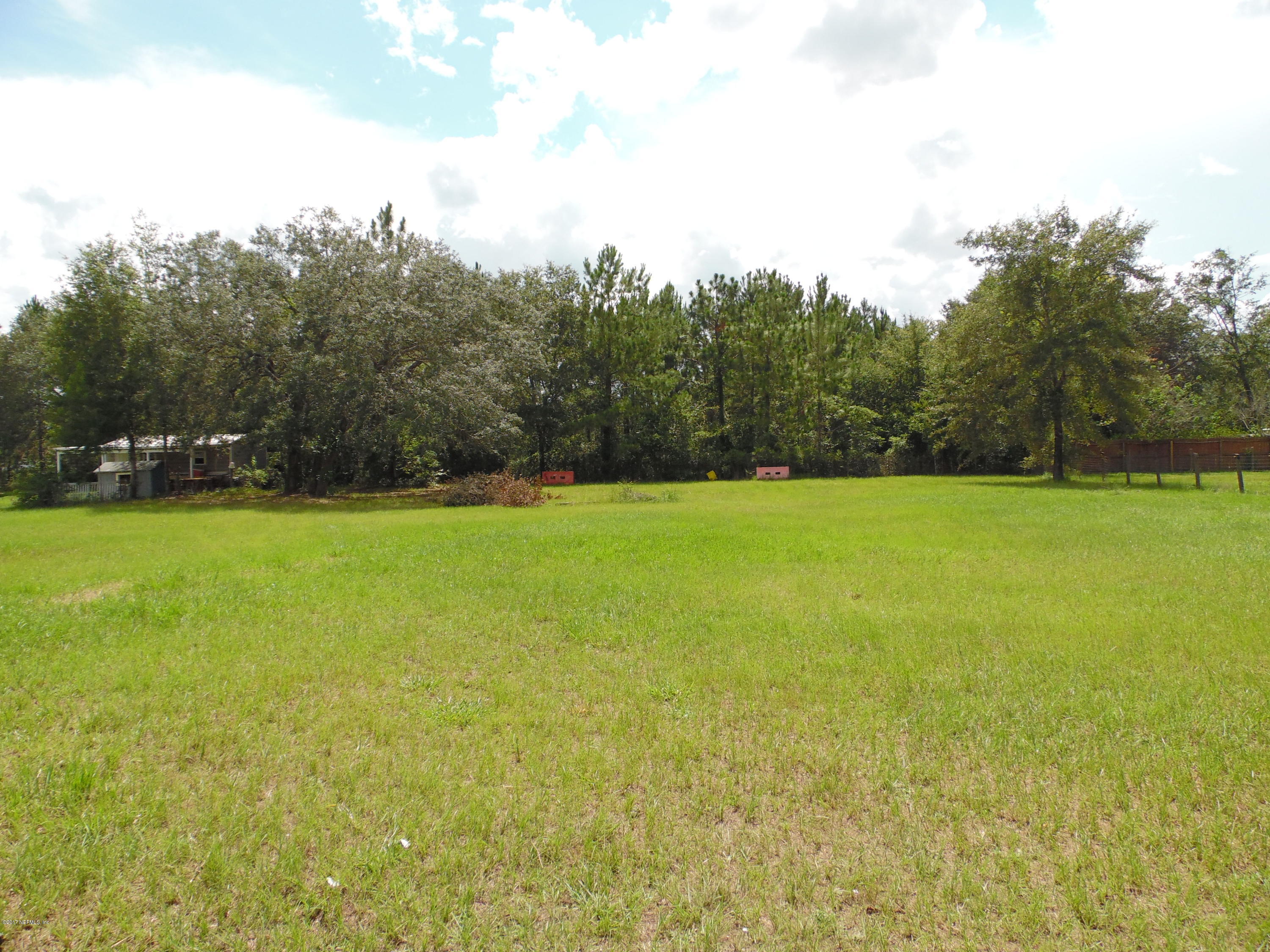 2879 Eagle Point Road Middleburg, FL 32068 - Photo 19 of 21 Rear Yard