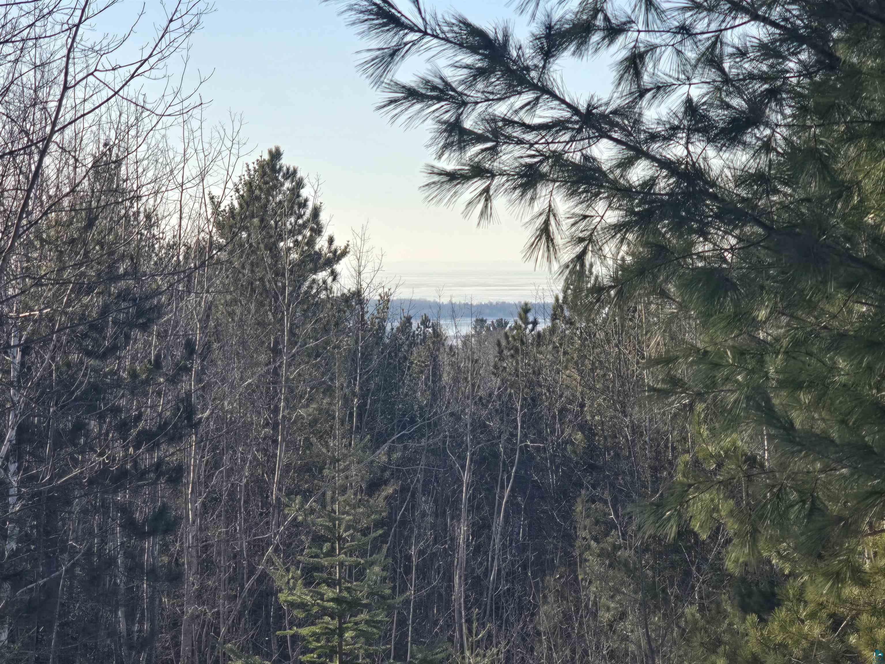 View of local wilderness