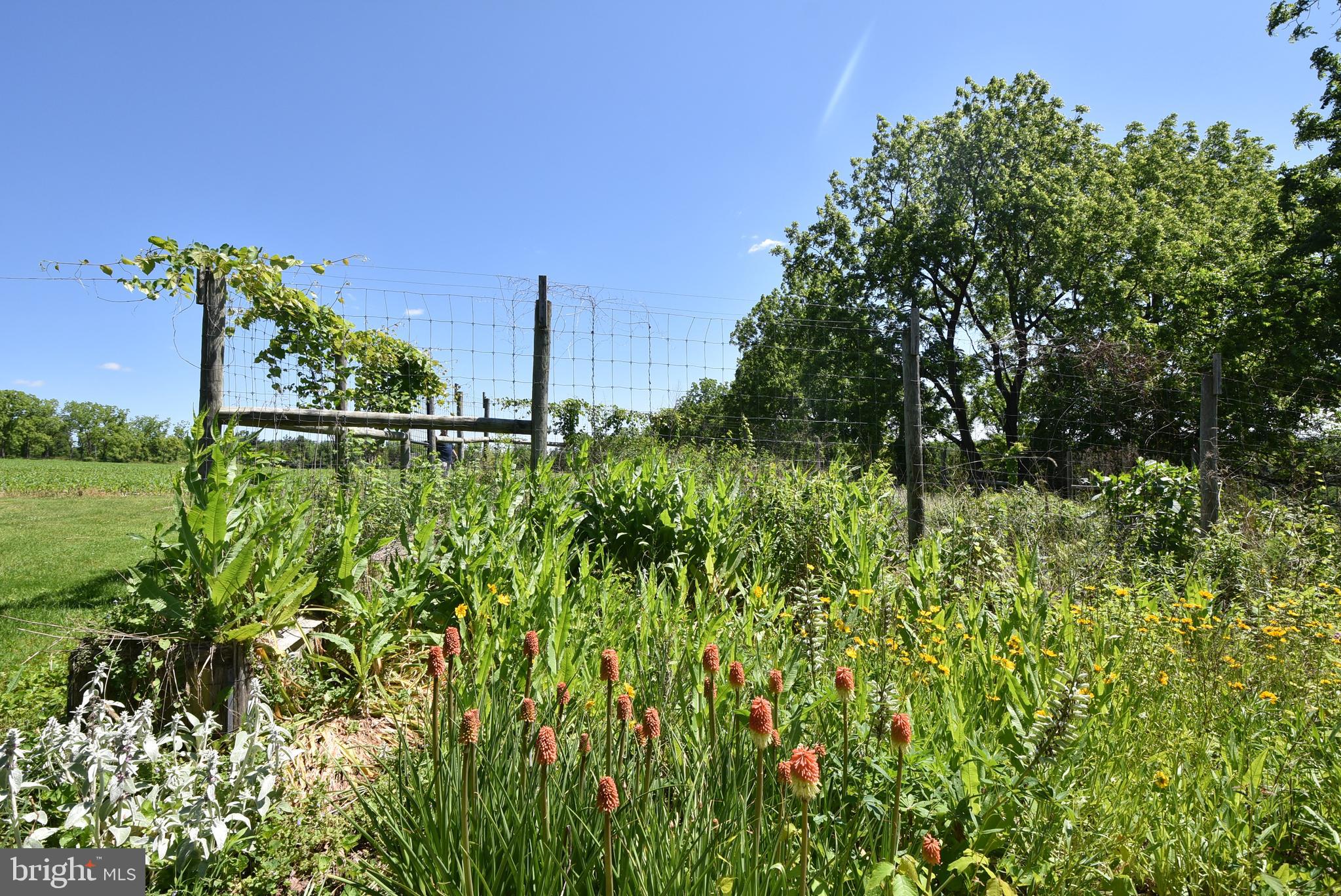 155 Upper Church Road Perkasie, PA 18944 - Photo 45 of 86