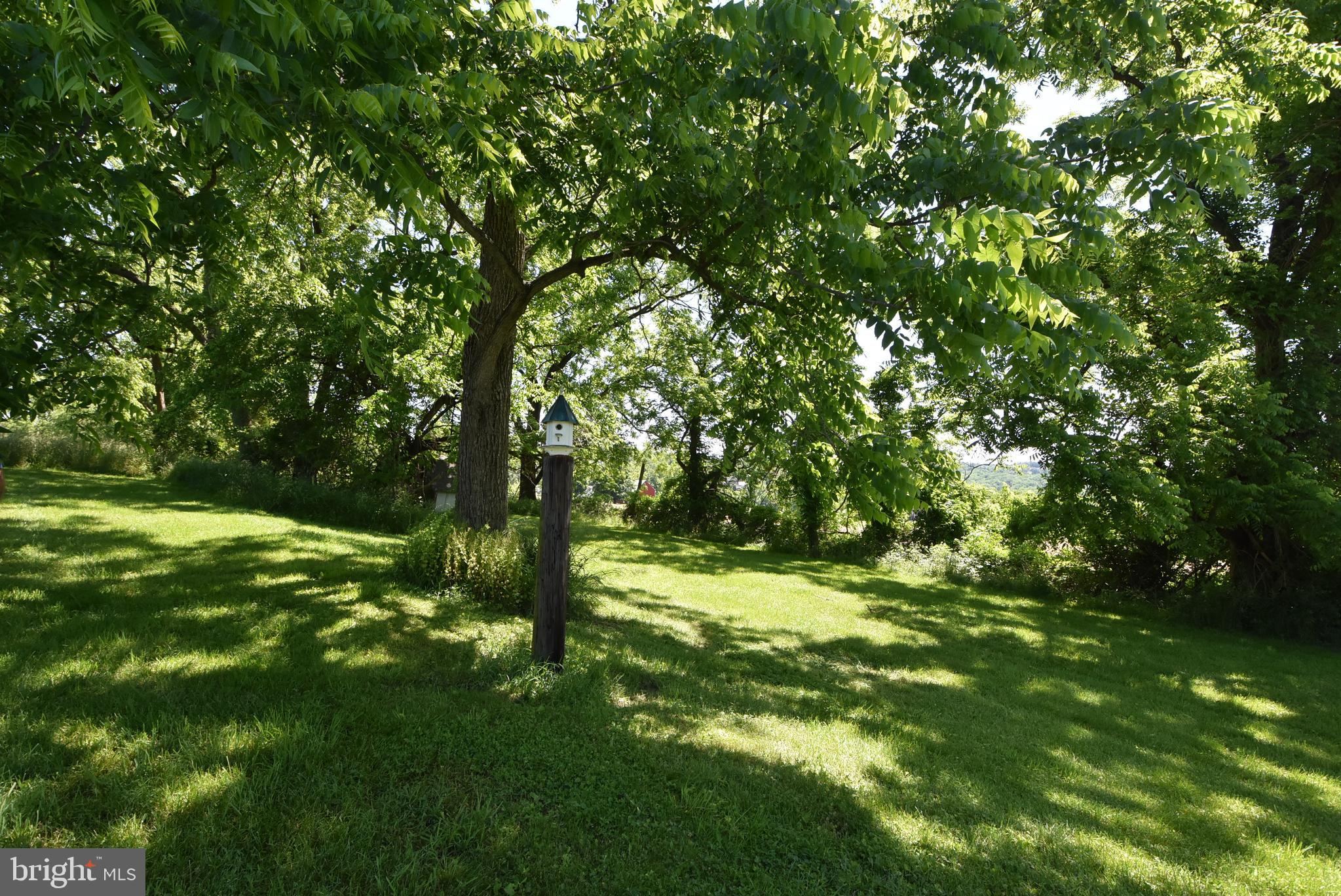 155 Upper Church Road Perkasie, PA 18944 - Photo 47 of 86