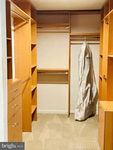 a view of walk in closet with painted walls