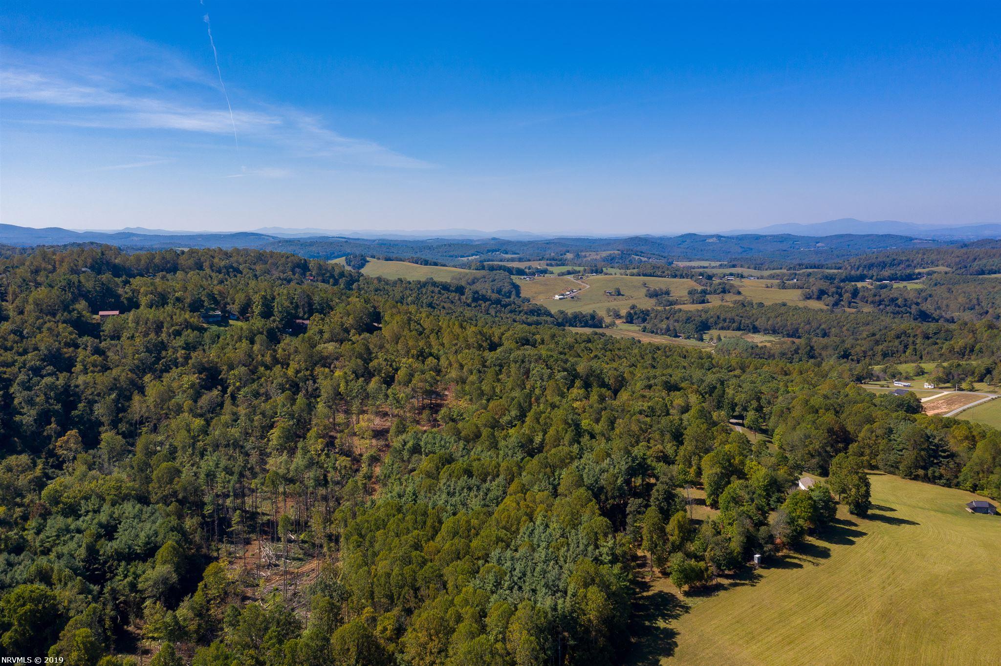 Tbd Carrollview Road Fancy Gap, VA 24328 - Photo 20 of 23 Gallery Image 20