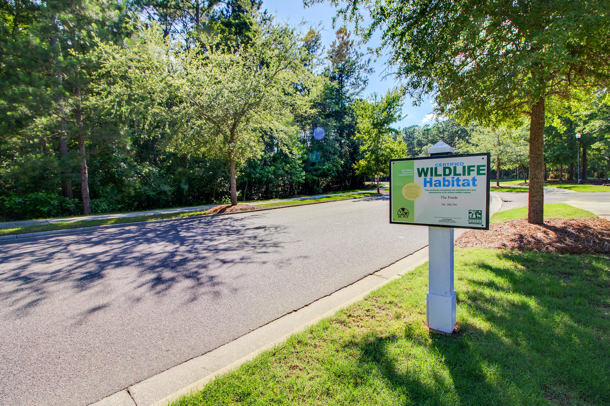 237 Ribbon Road Summerville, SC 29483 - Photo 66 of 79 Gallery Image 66