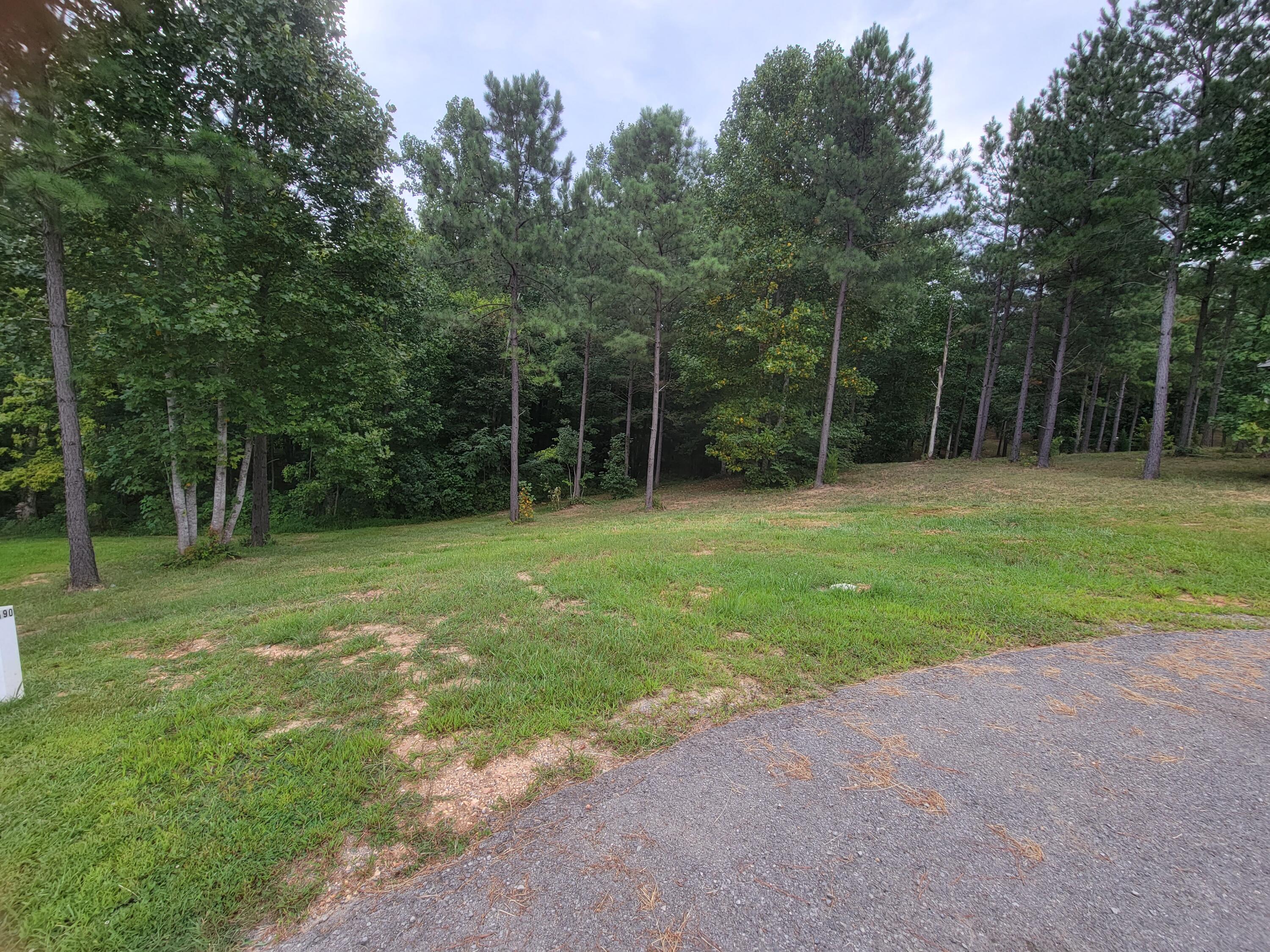 300 Deer Ridge Point, Unit 190 Jasper, TN 37347 - Photo 4 of 20 20230906_124949