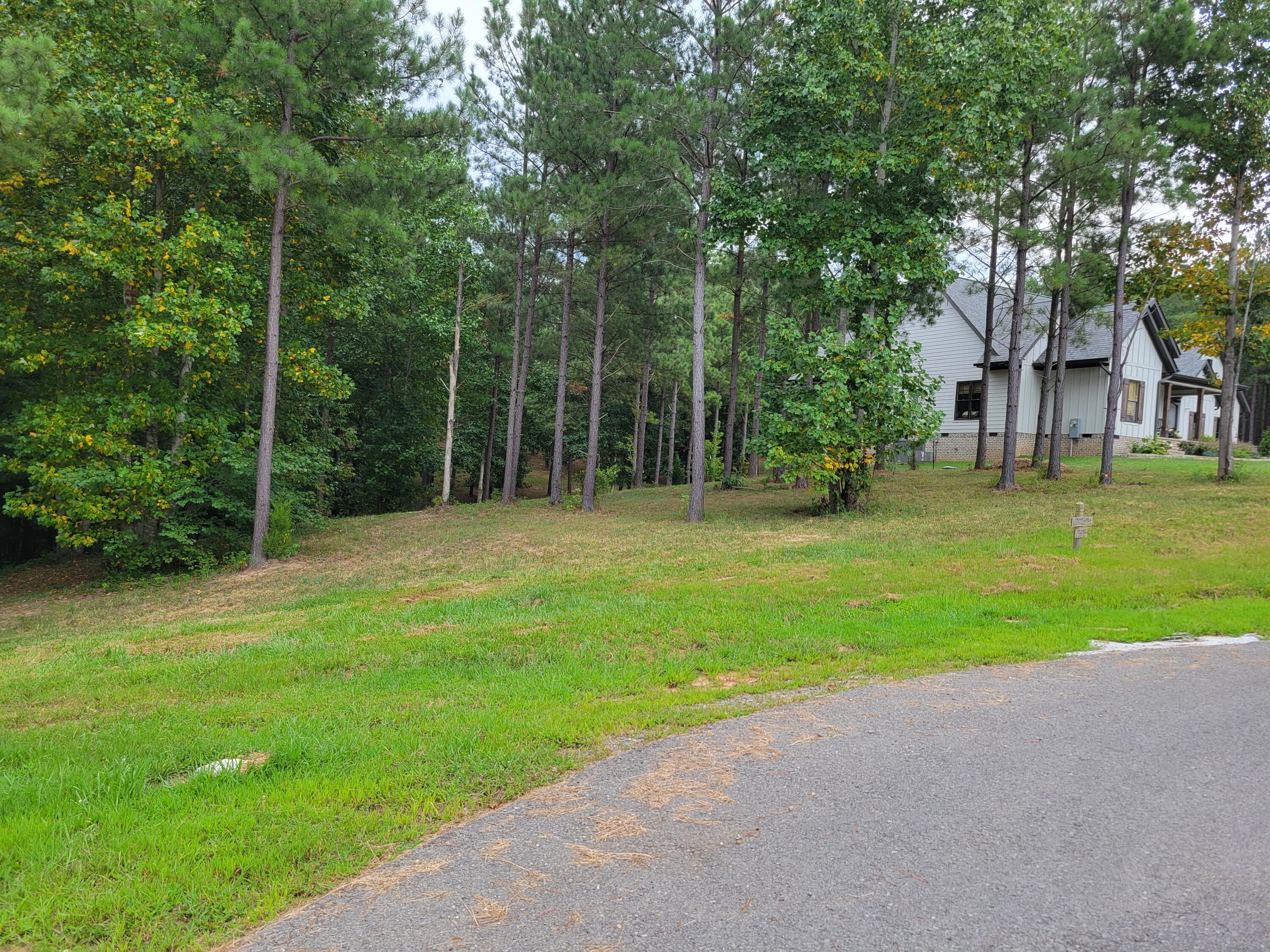 300 Deer Ridge Point, Unit 190 Jasper, TN 37347 - Photo 5 of 20 20230906_125007