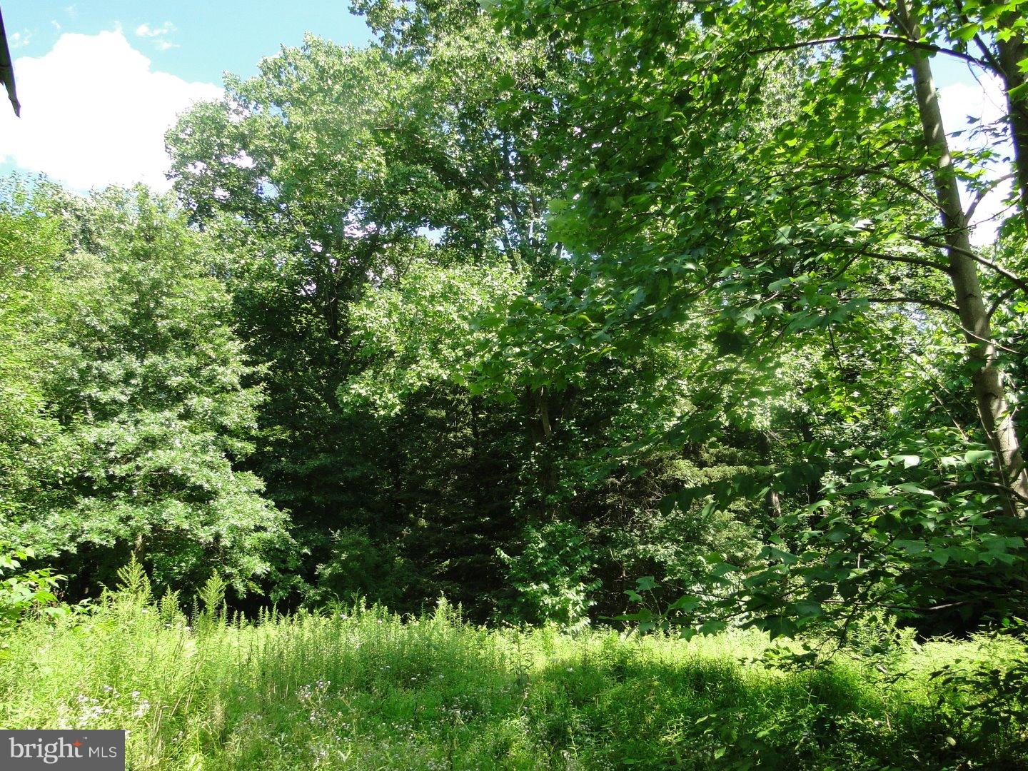 69 Rosenberger Road Quakertown, PA 18951 - Photo 1 of 10