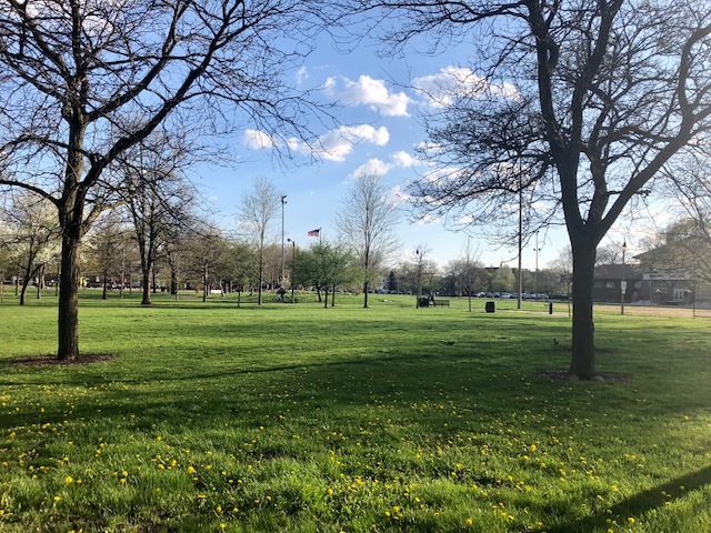 3808 West Irving Park Road, Unit 11 Chicago, IL 60618 - Photo 8 of 9 a yard with lots of green space and trees