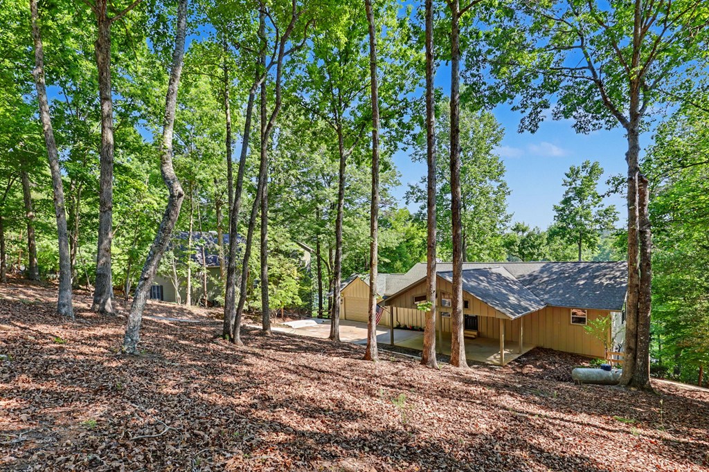 456 Deaver Cove Road Blairsville, GA 30512 - Photo 60 of 83