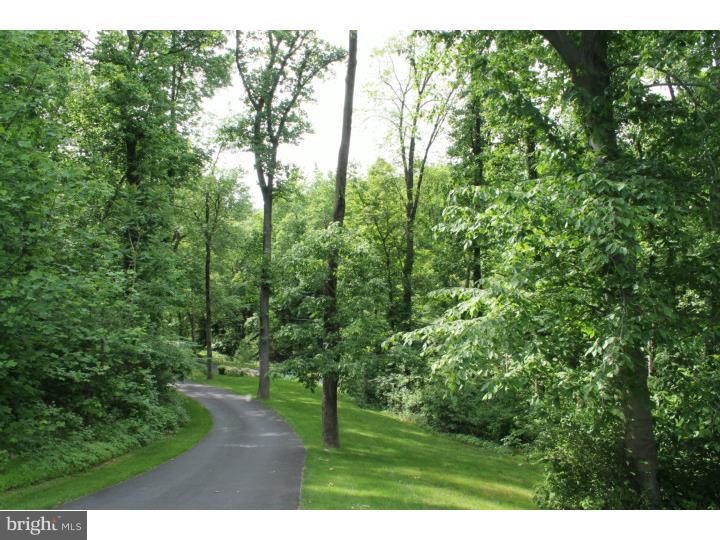 191 Sommers Road Oley, PA 19547 - Photo 3 of 25 Side Yard