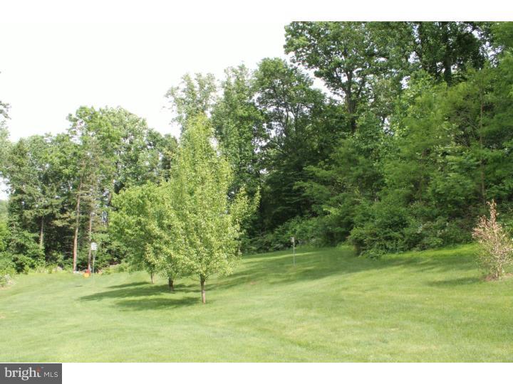 191 Sommers Road Oley, PA 19547 - Photo 7 of 25 Side Yard