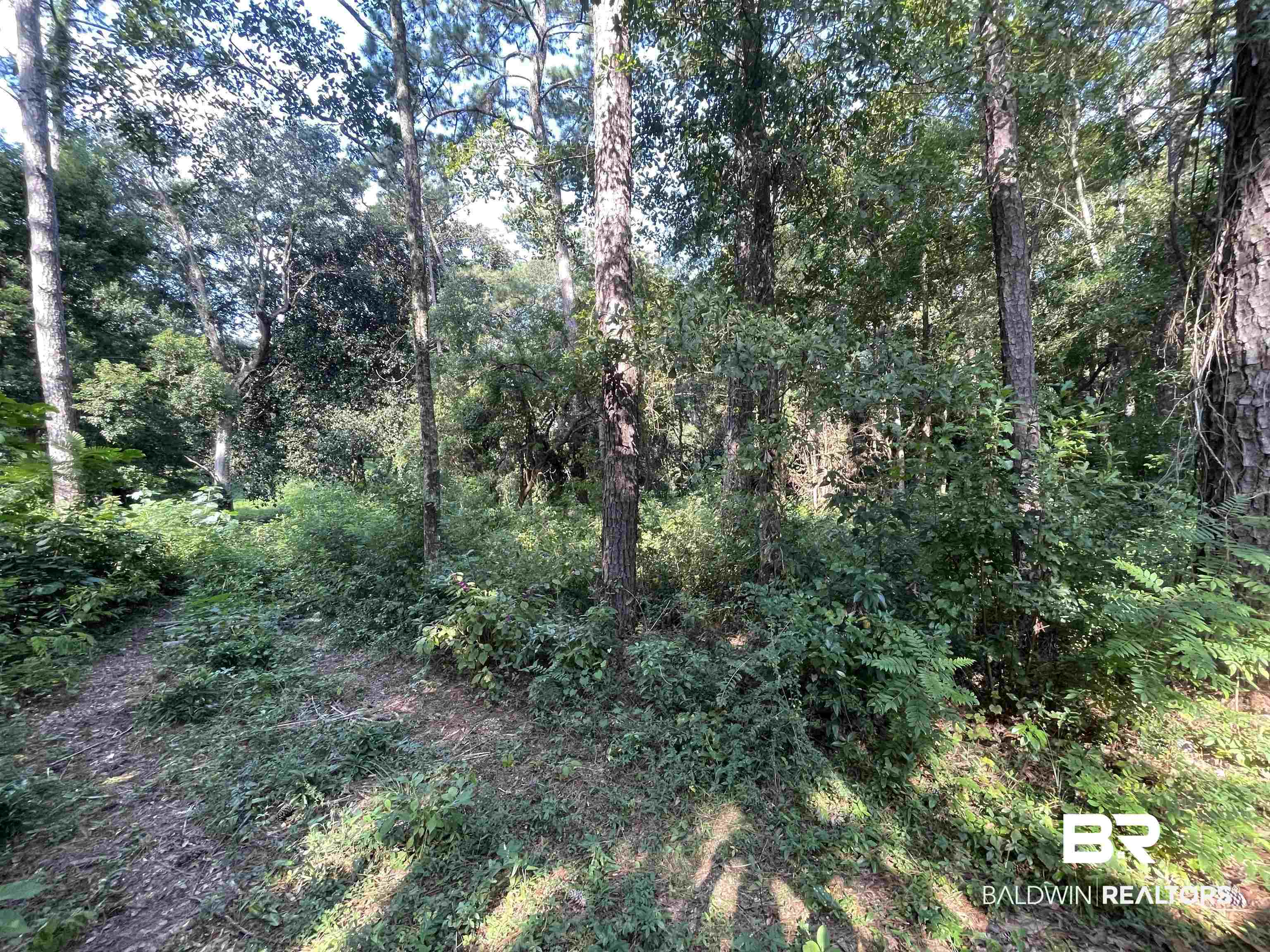 23654 3rd Street Fairhope, AL 36532 - Photo 2 of 5
