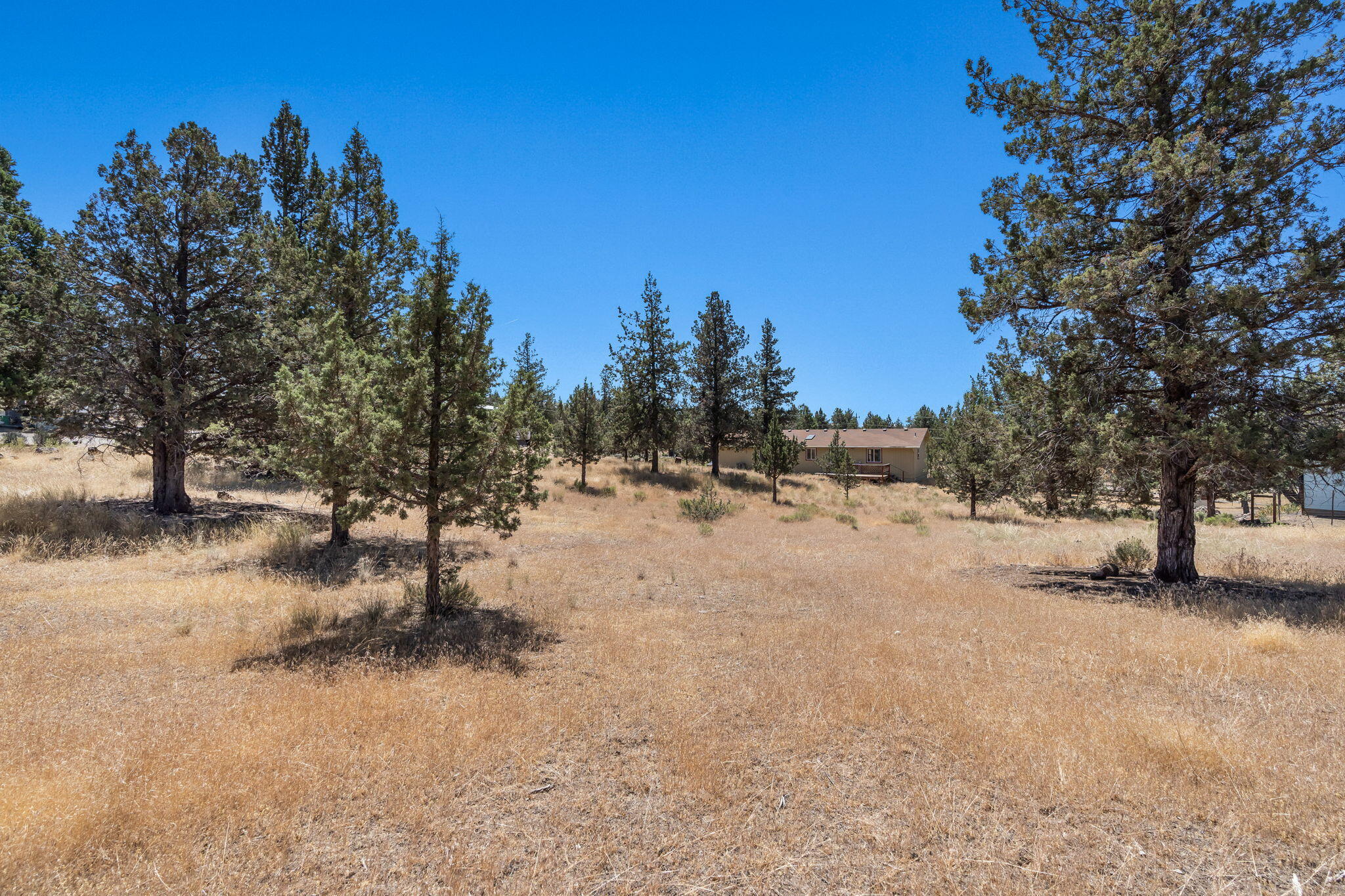 8886 Southwest Shad Road Terrebonne, OR 97760 - Photo 21 of 22 2024_07_17_8886_sw_shad_road_crr-29