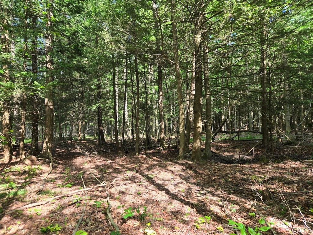 7988 Dowd Road Pike, NY 14735 - Photo 24 of 37