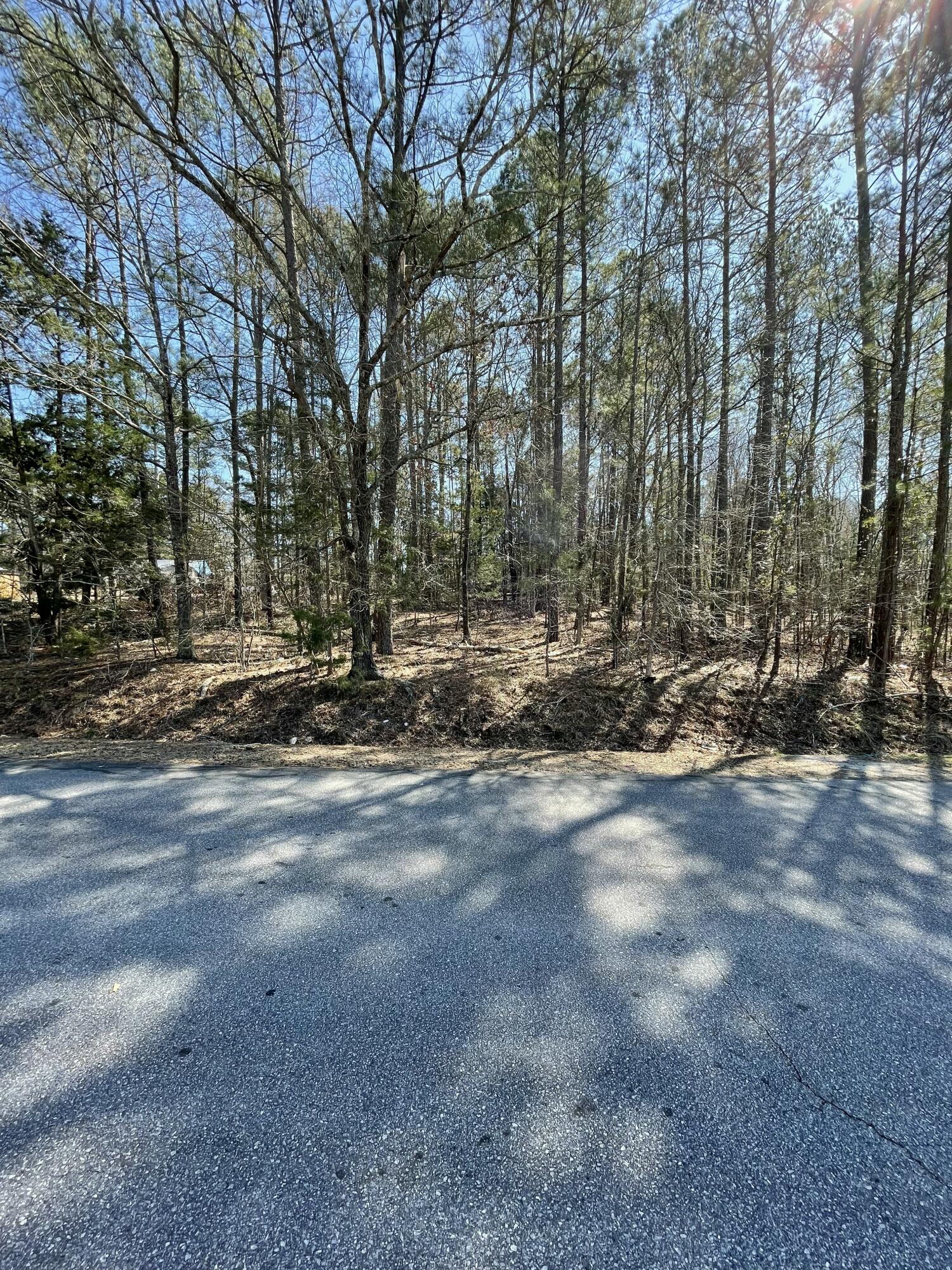 0 Westside Drive McCormick, SC 29835 - Photo 7 of 10