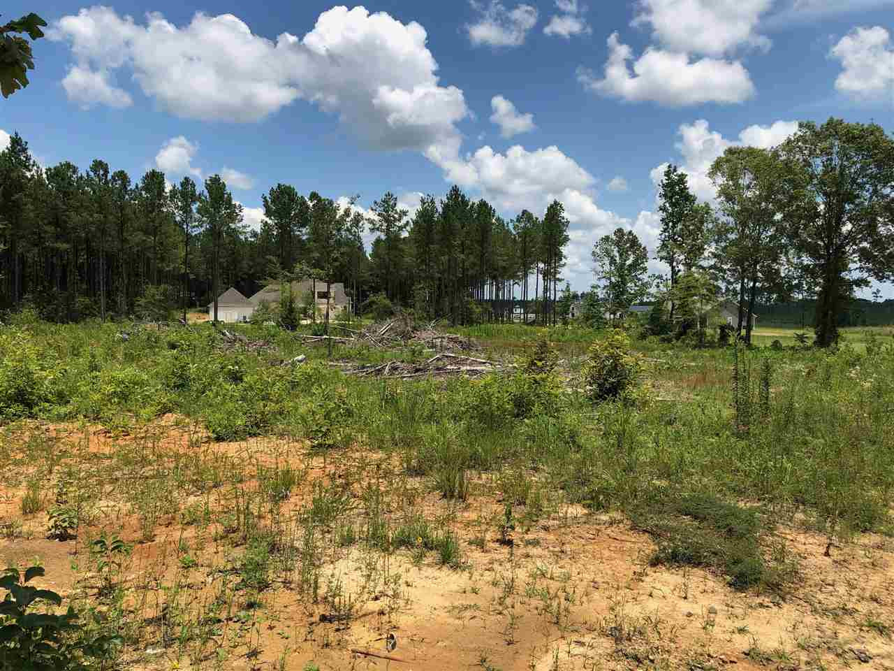832 Mt Helm Road, Unit LOT 7 FREEDOM RIDGE Brandon, MS 39047 - Photo 3 of 4 Photo 3