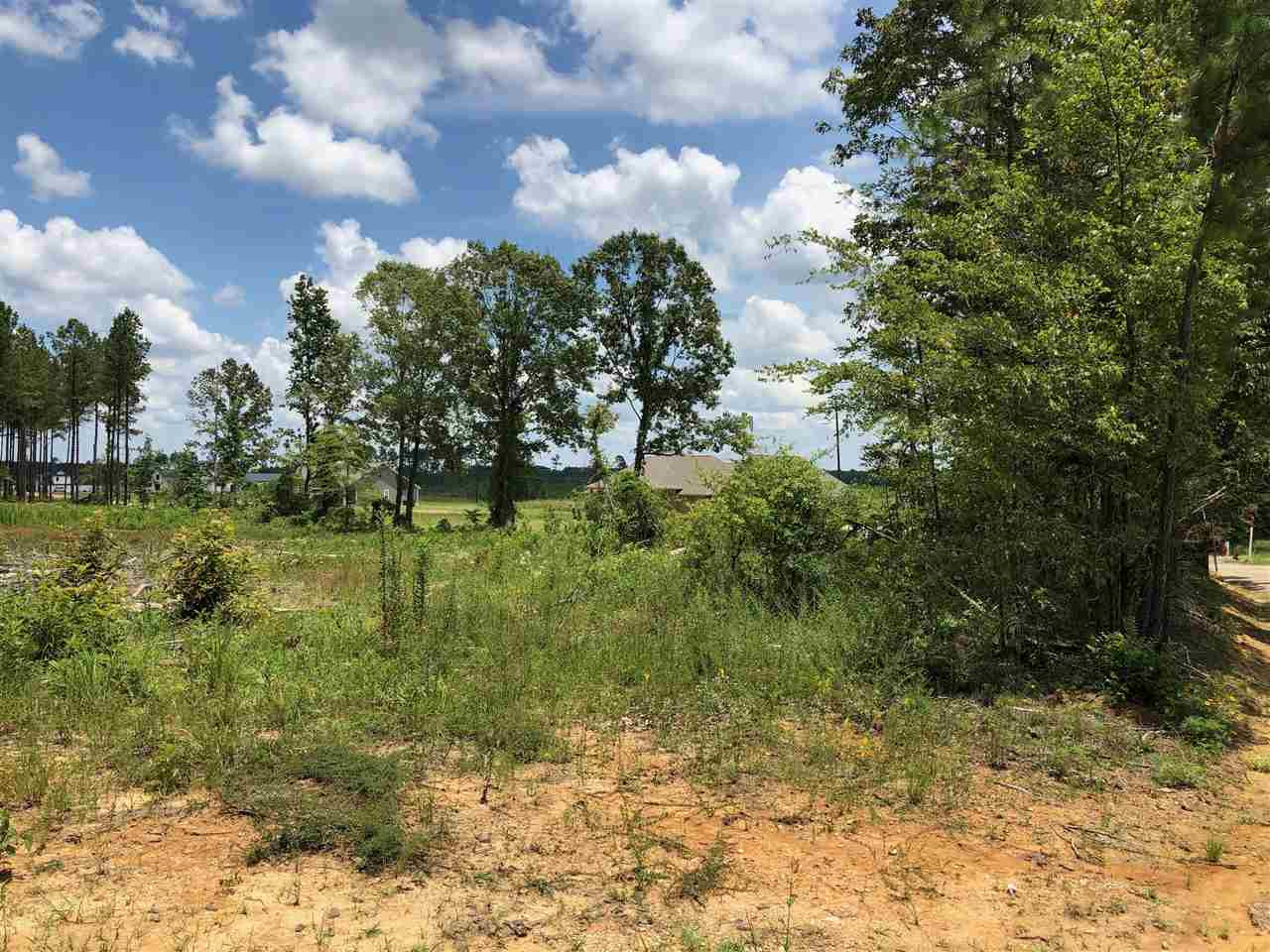 832 Mt Helm Road, Unit LOT 7 FREEDOM RIDGE Brandon, MS 39047 - Photo 4 of 4 Photo 4