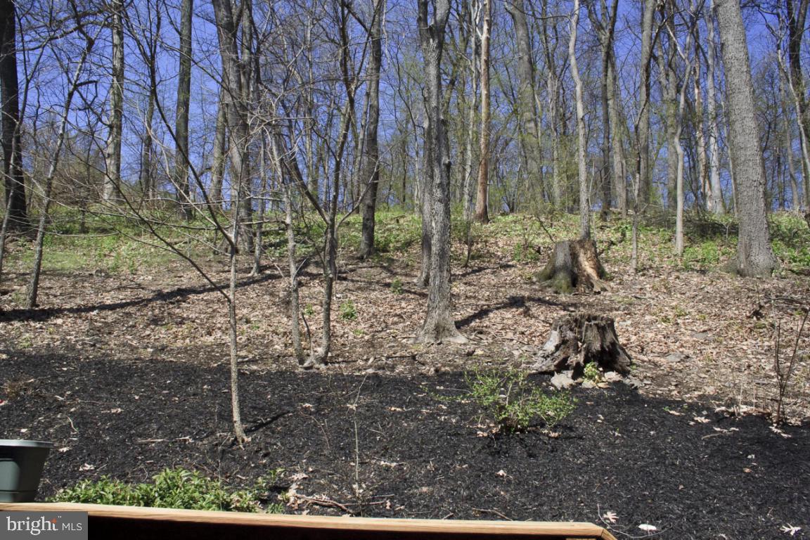 2519 Nolt Road Lancaster, PA 17601 - Photo 32 of 32 Gallery Image 32