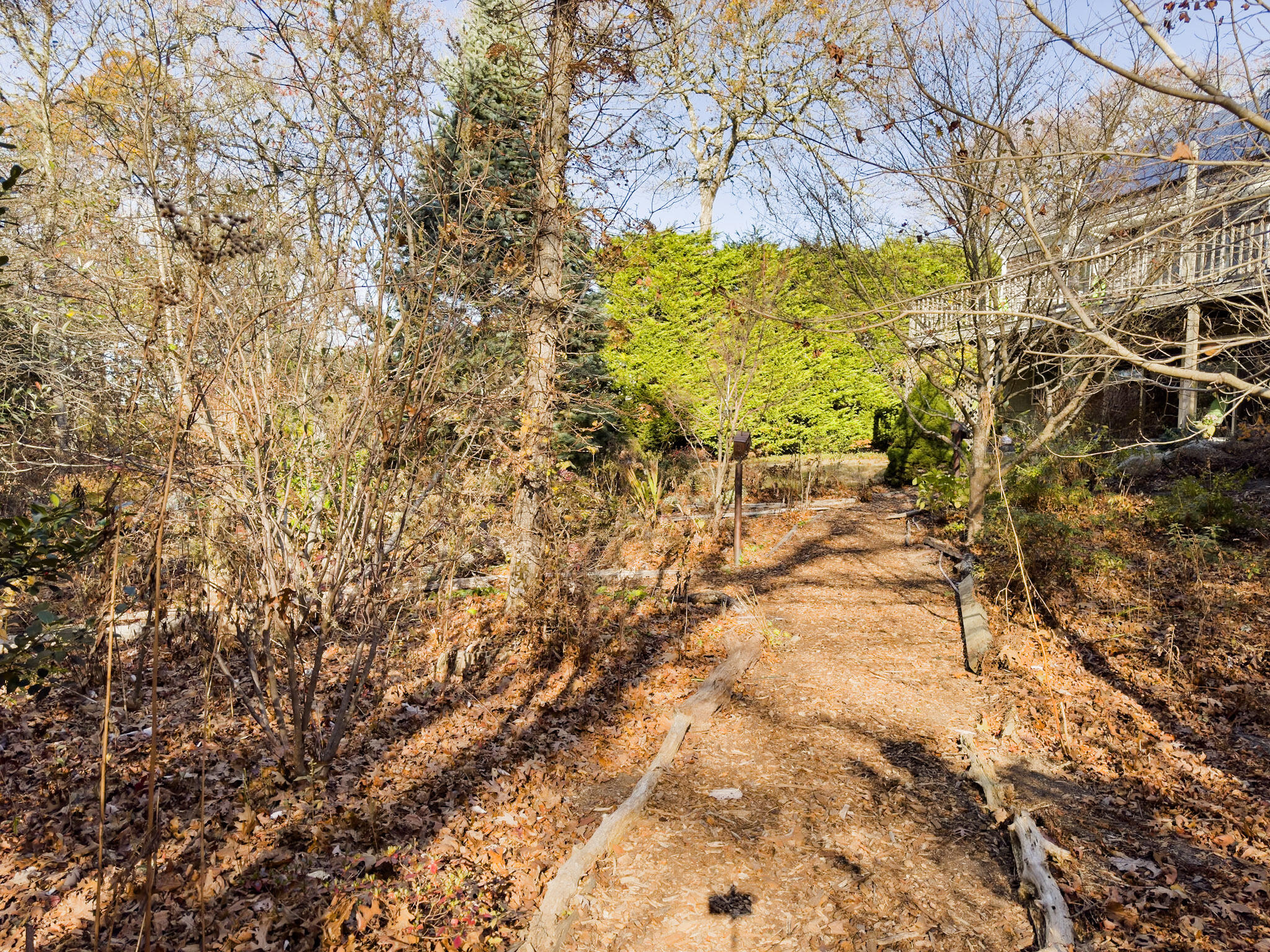 101 Anawan Road Brewster, MA 02631 - Photo 46 of 58 Paths through woods