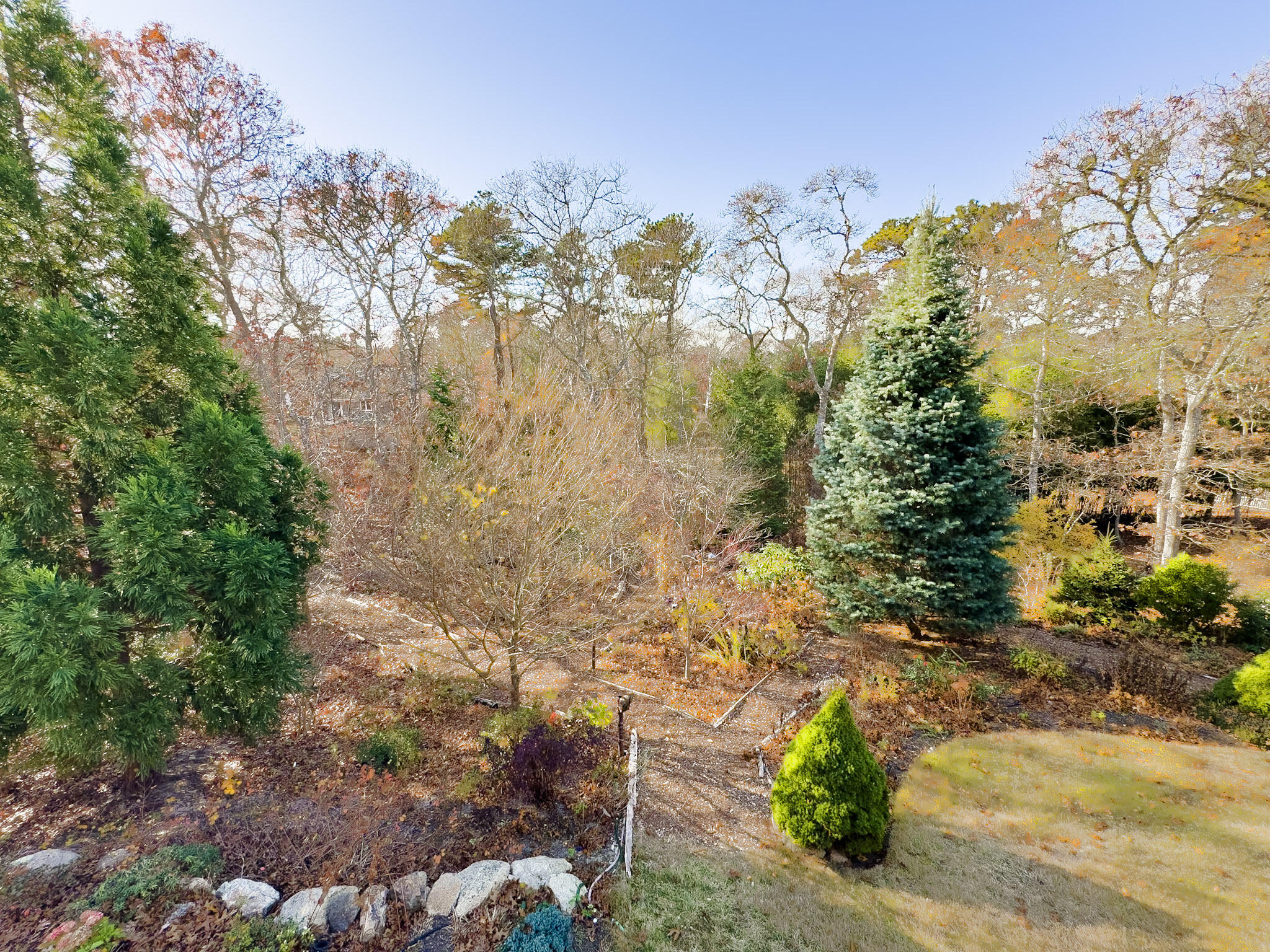 101 Anawan Road Brewster, MA 02631 - Photo 47 of 58 Paths through woods