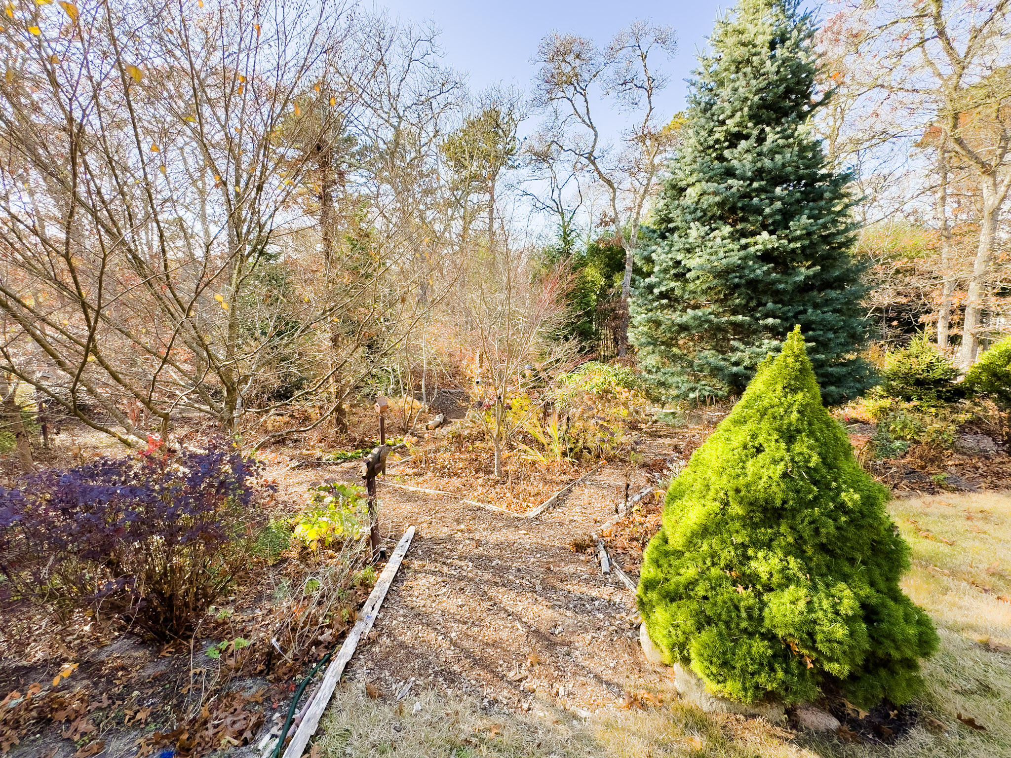 101 Anawan Road Brewster, MA 02631 - Photo 48 of 58 Paths through woods