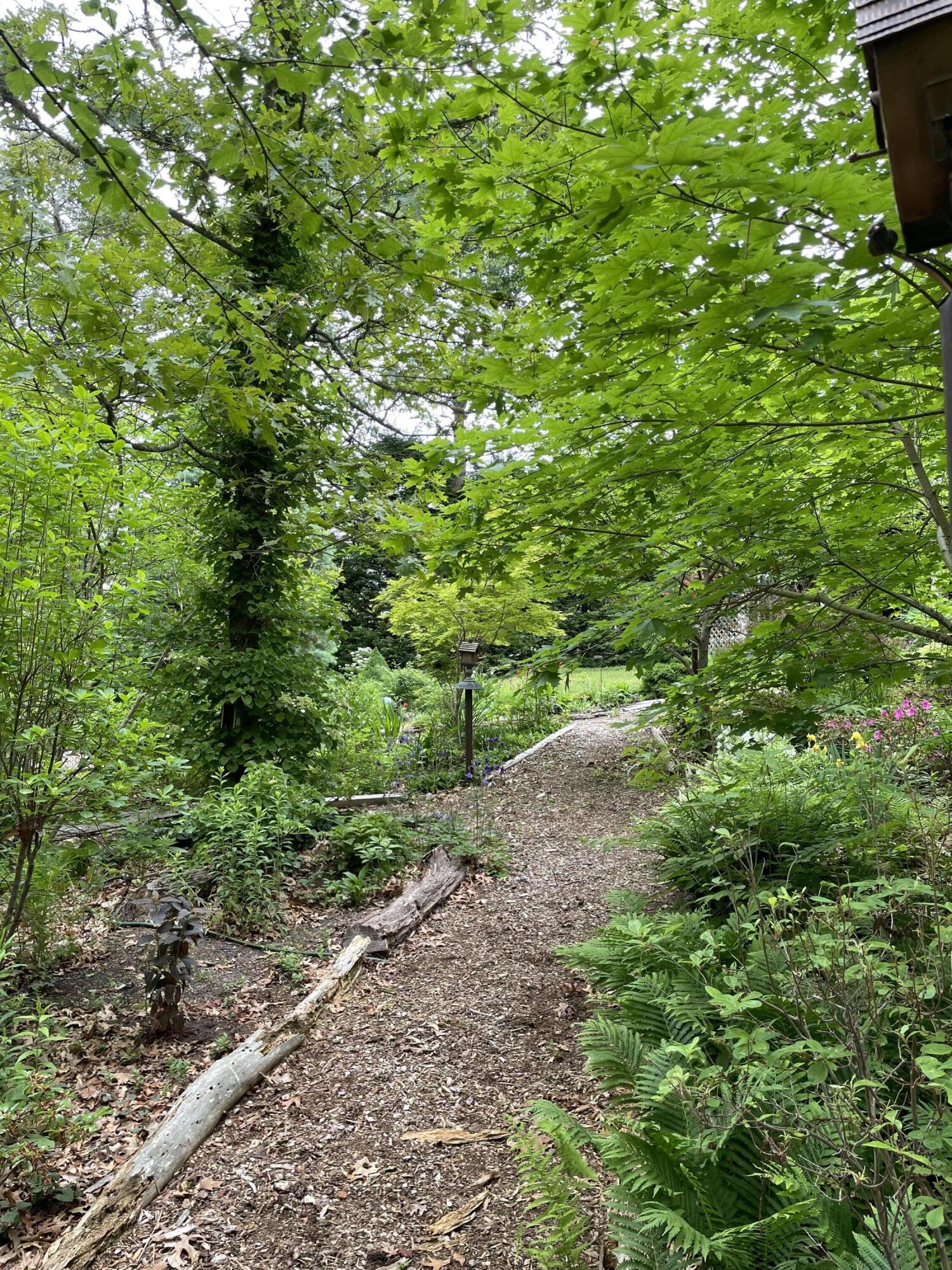101 Anawan Road Brewster, MA 02631 - Photo 49 of 58 Paths through woods