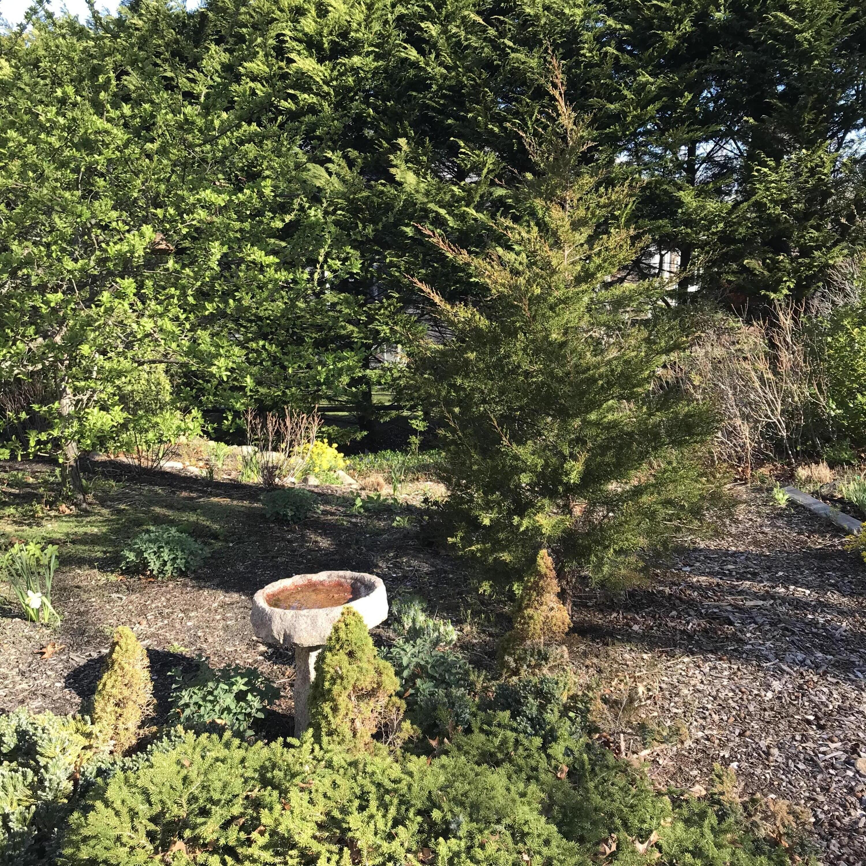 101 Anawan Road Brewster, MA 02631 - Photo 51 of 58 101 Anawan Road