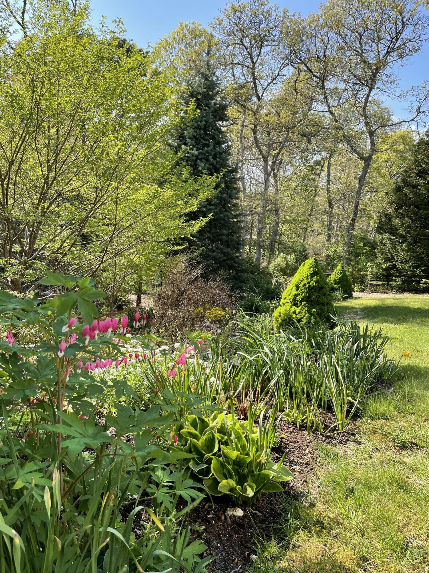 101 Anawan Road Brewster, MA 02631 - Photo 57 of 58 101 Anawan Road