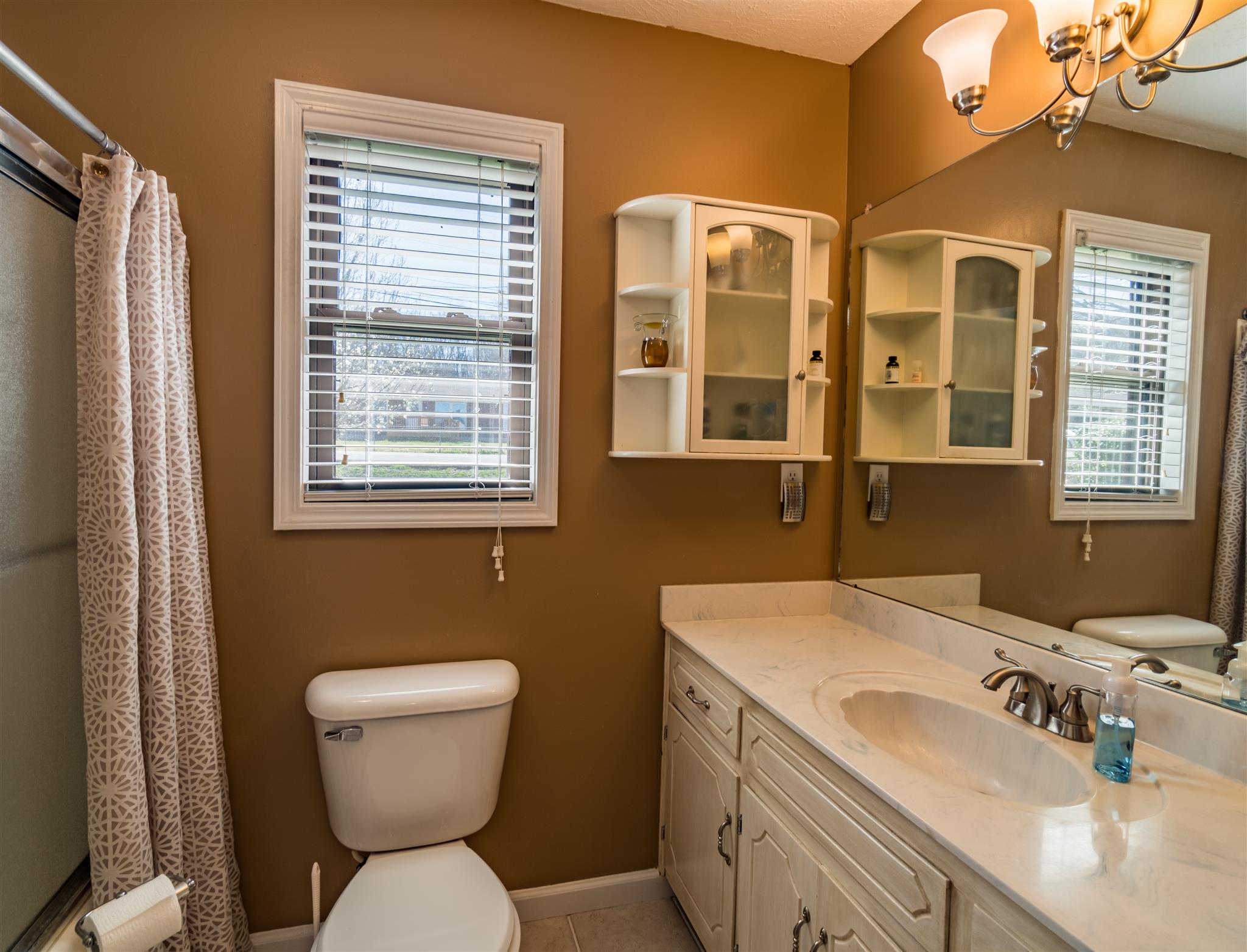 291 Mayhew Road Clarksville, TN 37040 - Photo 9 of 30 a bathroom with a toilet sink and a mirror