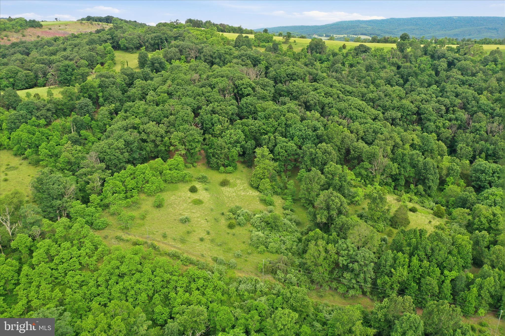 11.95-ac Luxemburg Road Baker, WV 26801 - Photo 15 of 23