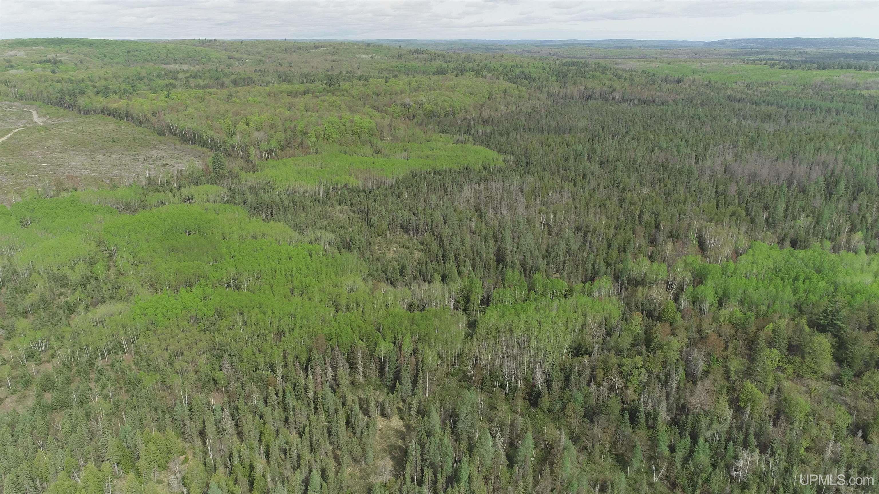 280-acres County Road CCN Road Negaunee, MI 49866 - Photo 26 of 48