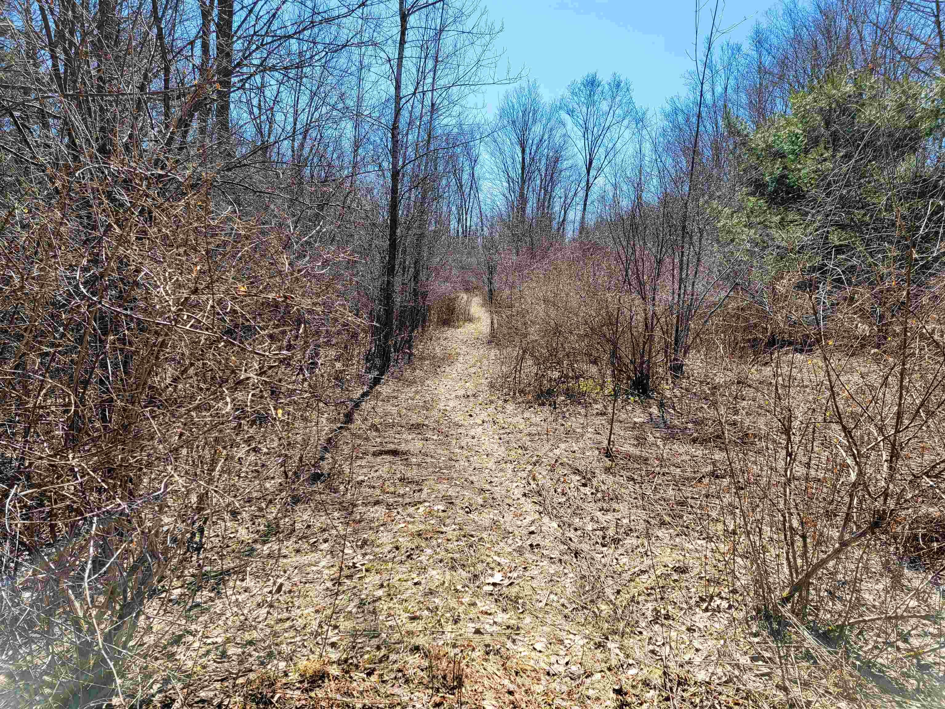 399 Bard Road Bennington, VT 05201 - Photo 42 of 60 Gallery Image 42
