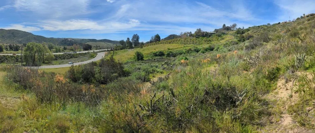 4216 Pala Road Fallbrook, CA 92028 - Photo 5 of 6 a view of a lush green forest with a houses