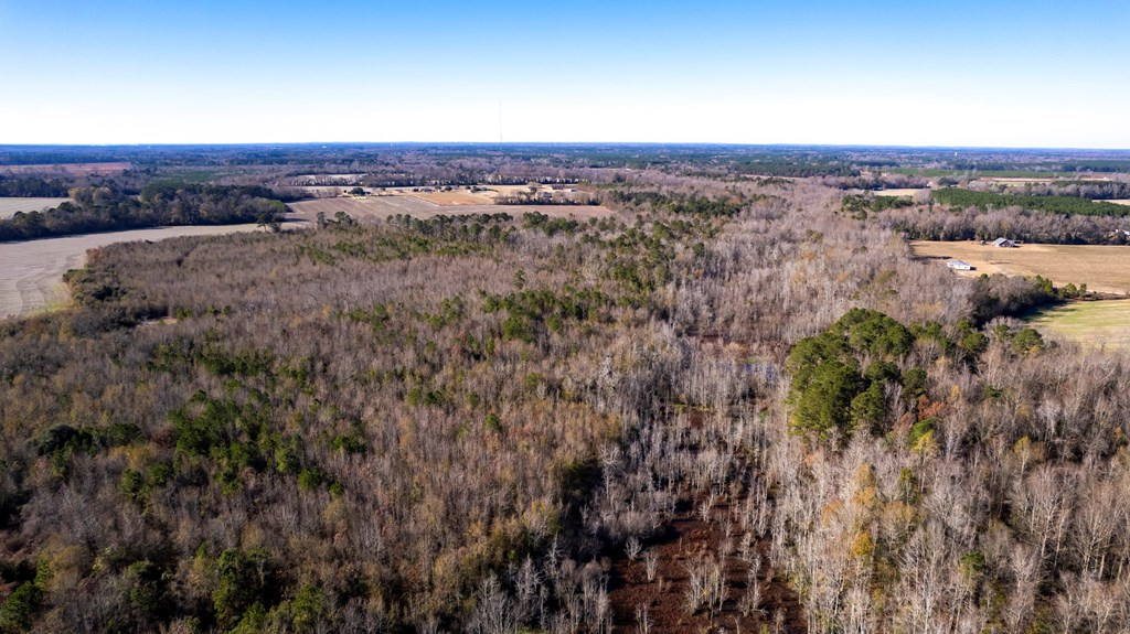 3700 Britton Road Sumter, SC 29153 - Photo 17 of 26