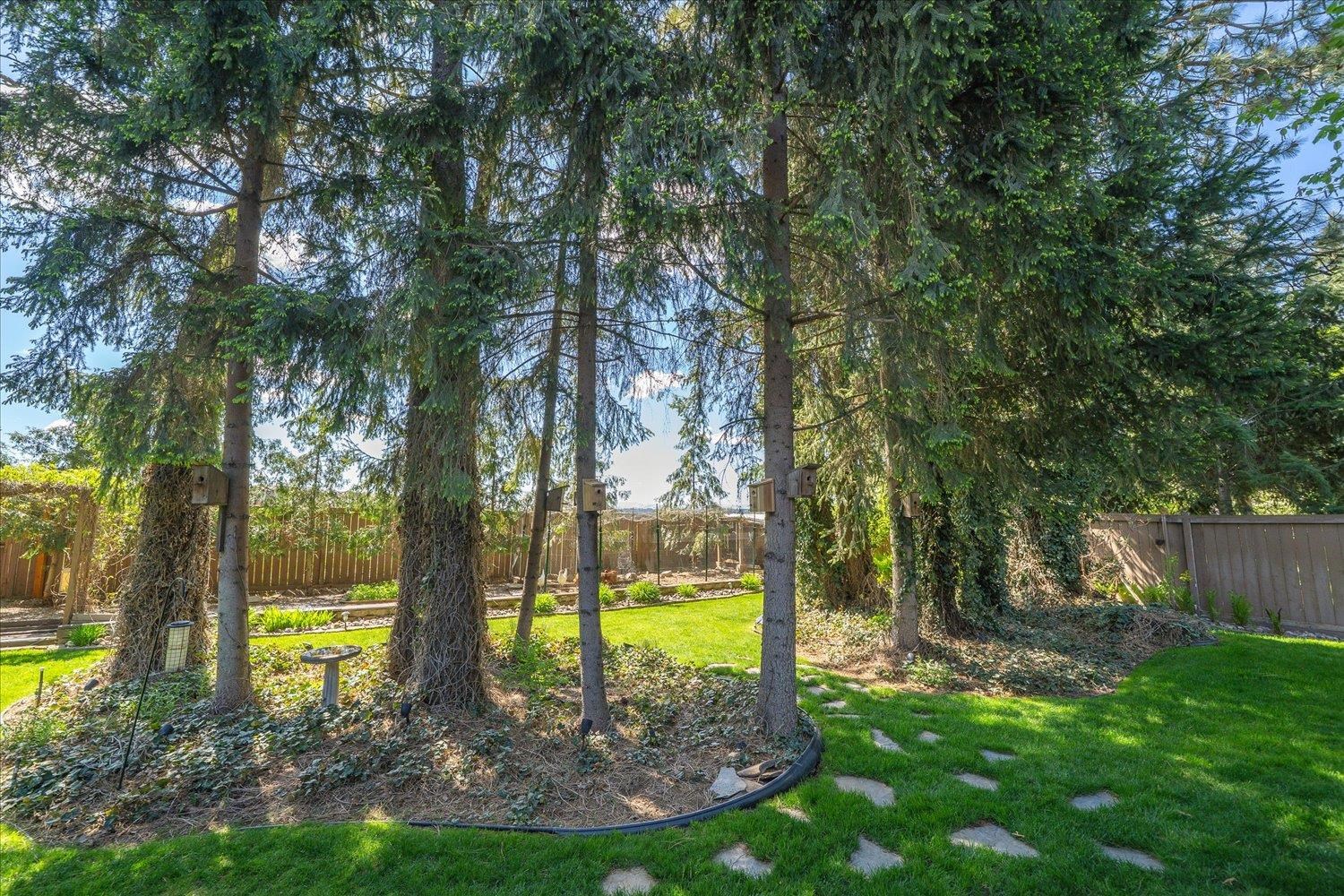 516 East Midway Road Colbert, WA 99005 - Photo 42 of 48