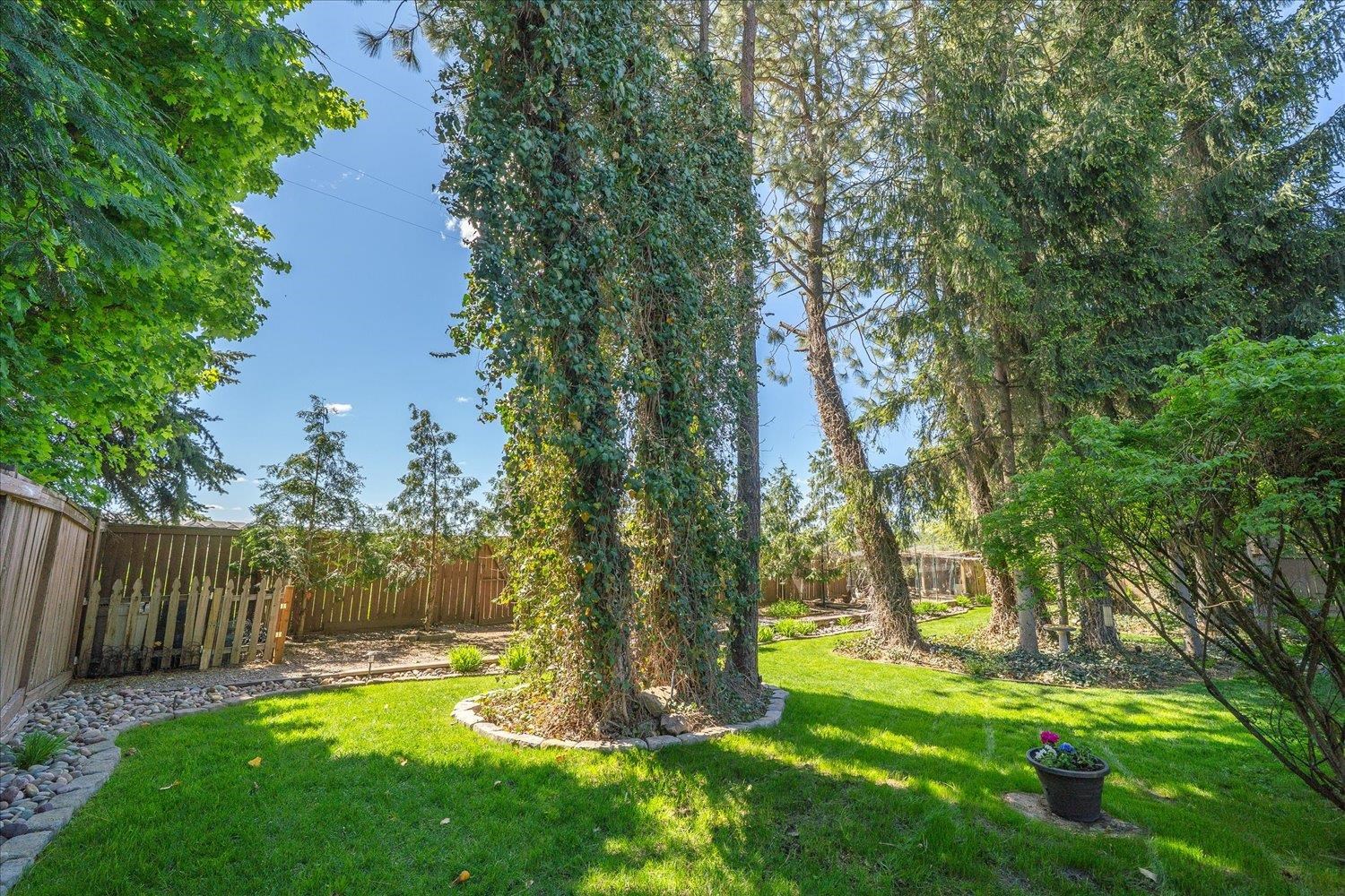 516 East Midway Road Colbert, WA 99005 - Photo 44 of 48