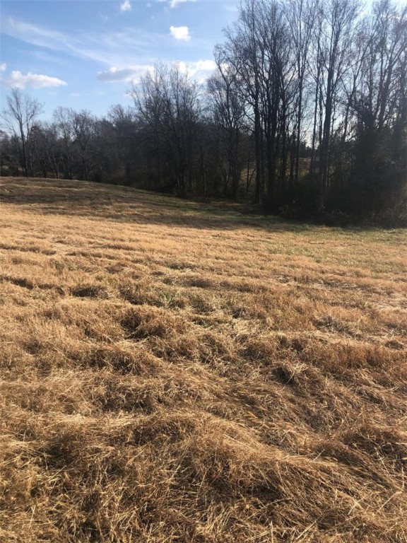 0 Joyo Road Iva, SC 29655 - Photo 2 of 7