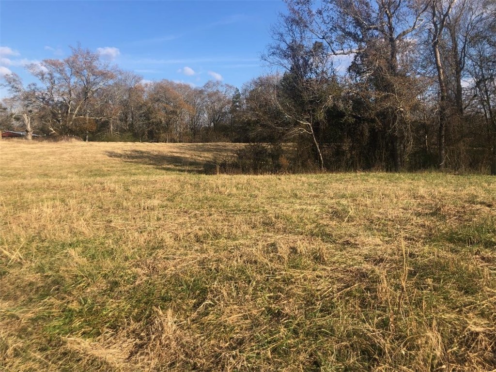 0 Joyo Road Iva, SC 29655 - Photo 3 of 7