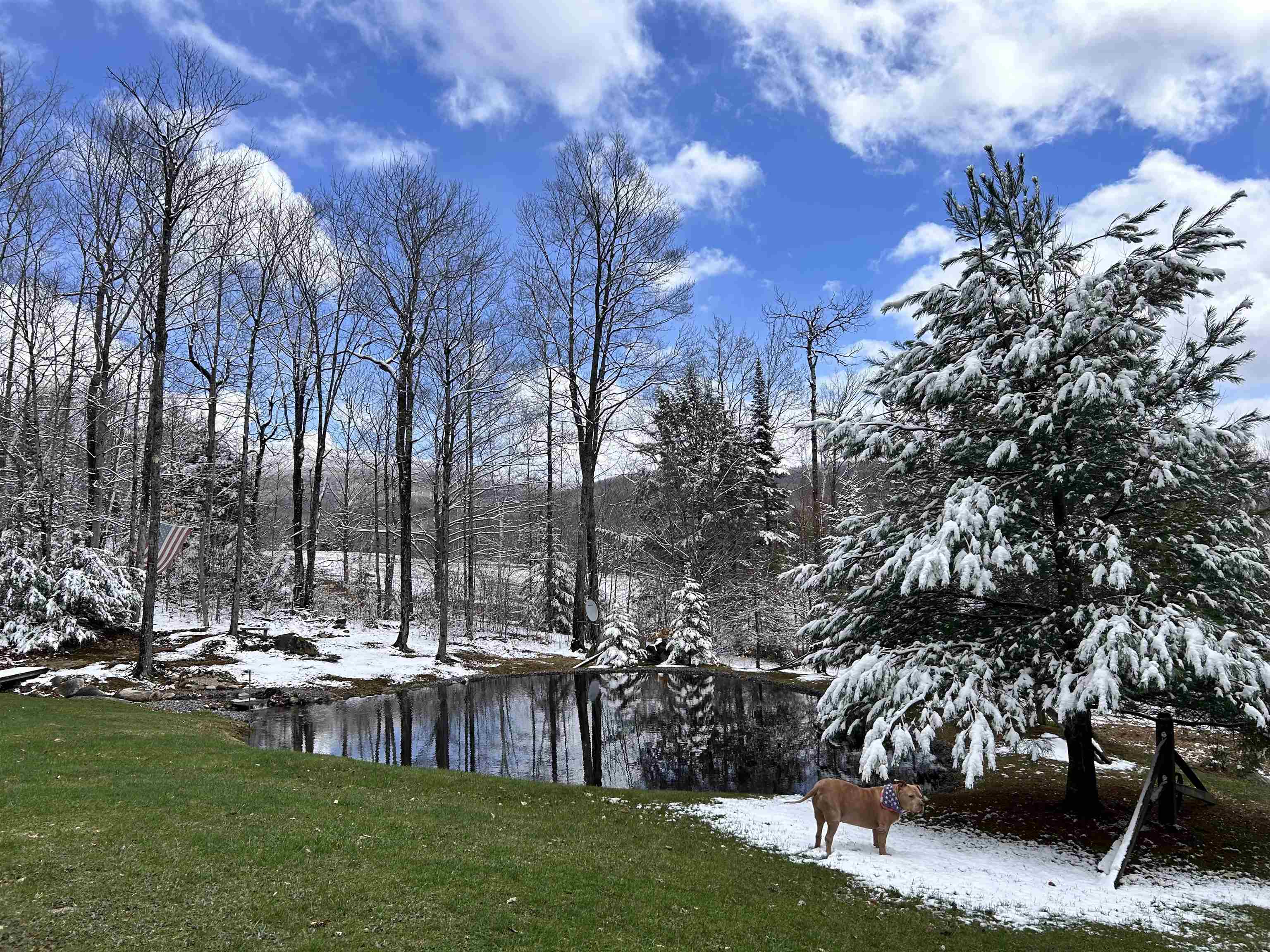 158 Camp Road Burke, VT 05832 - Photo 56 of 60
