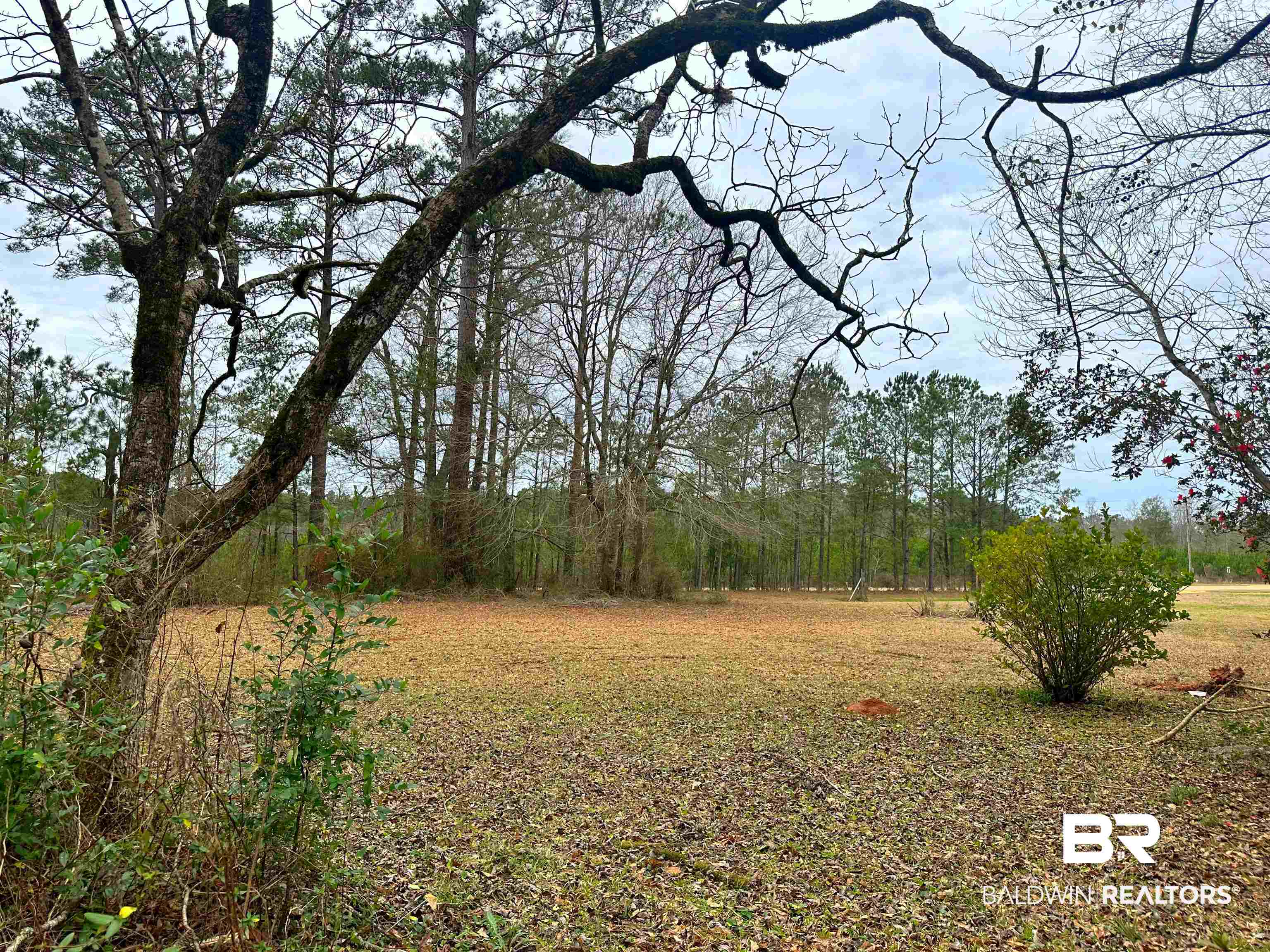 6004 Loree Road Evergreen, AL 36401 - Photo 3 of 7