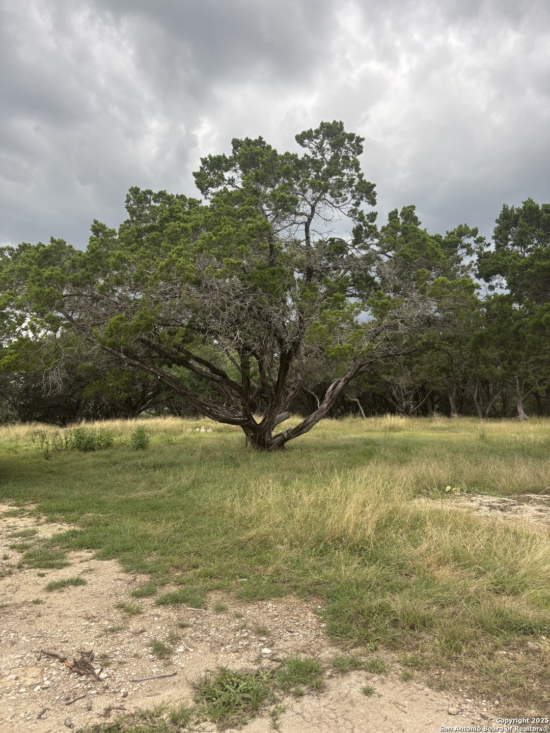 448 Waring Welfare Road Boerne, TX 78006 - Photo 11 of 14 a view of a ocean with beach