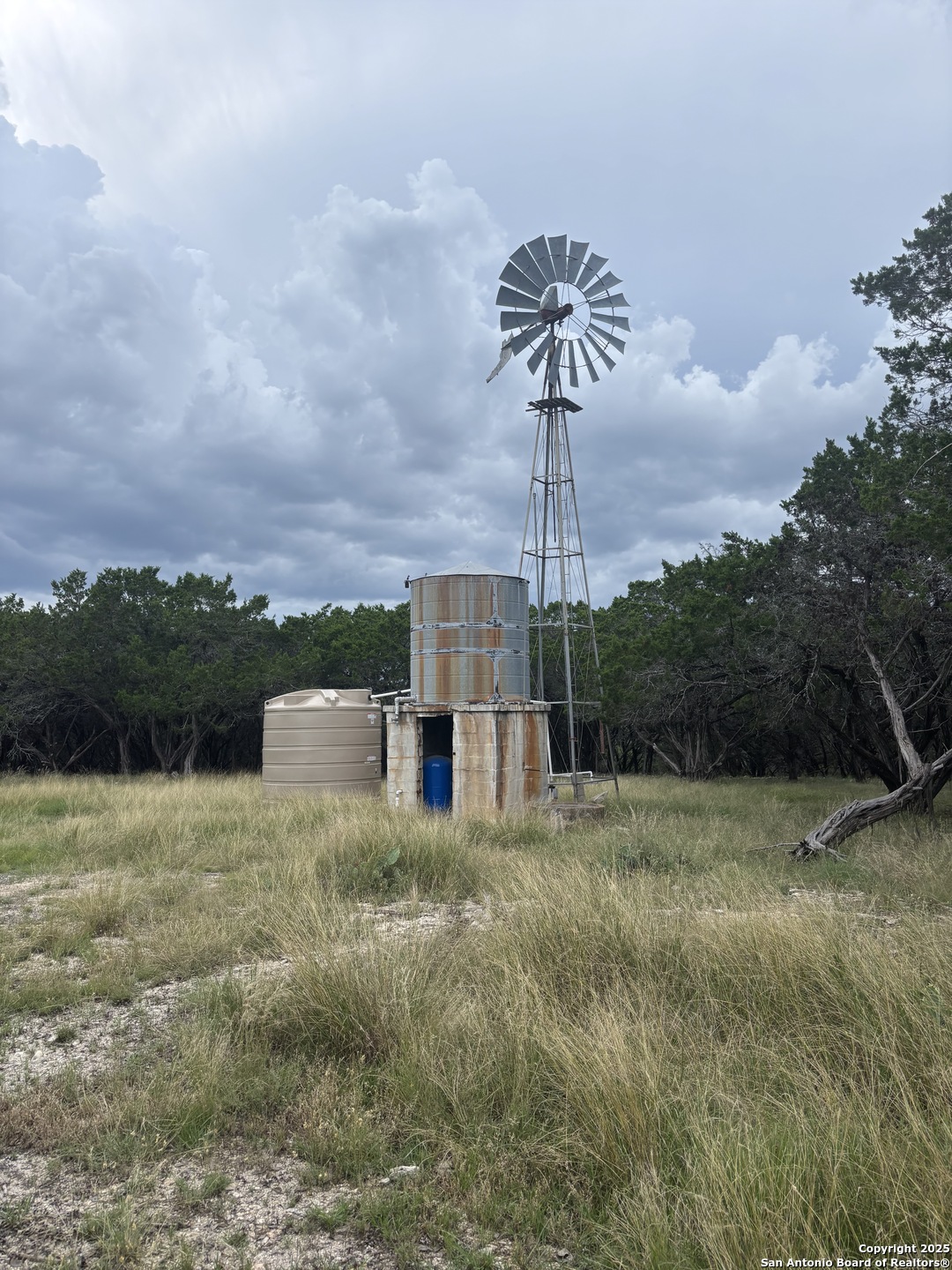 448 Waring Welfare Road Boerne, TX 78006 - Photo 14 of 14 a picture of a yard