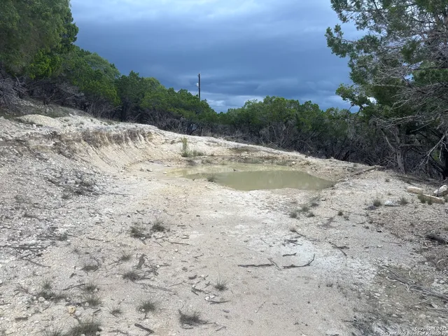 a view of outdoor space with trees