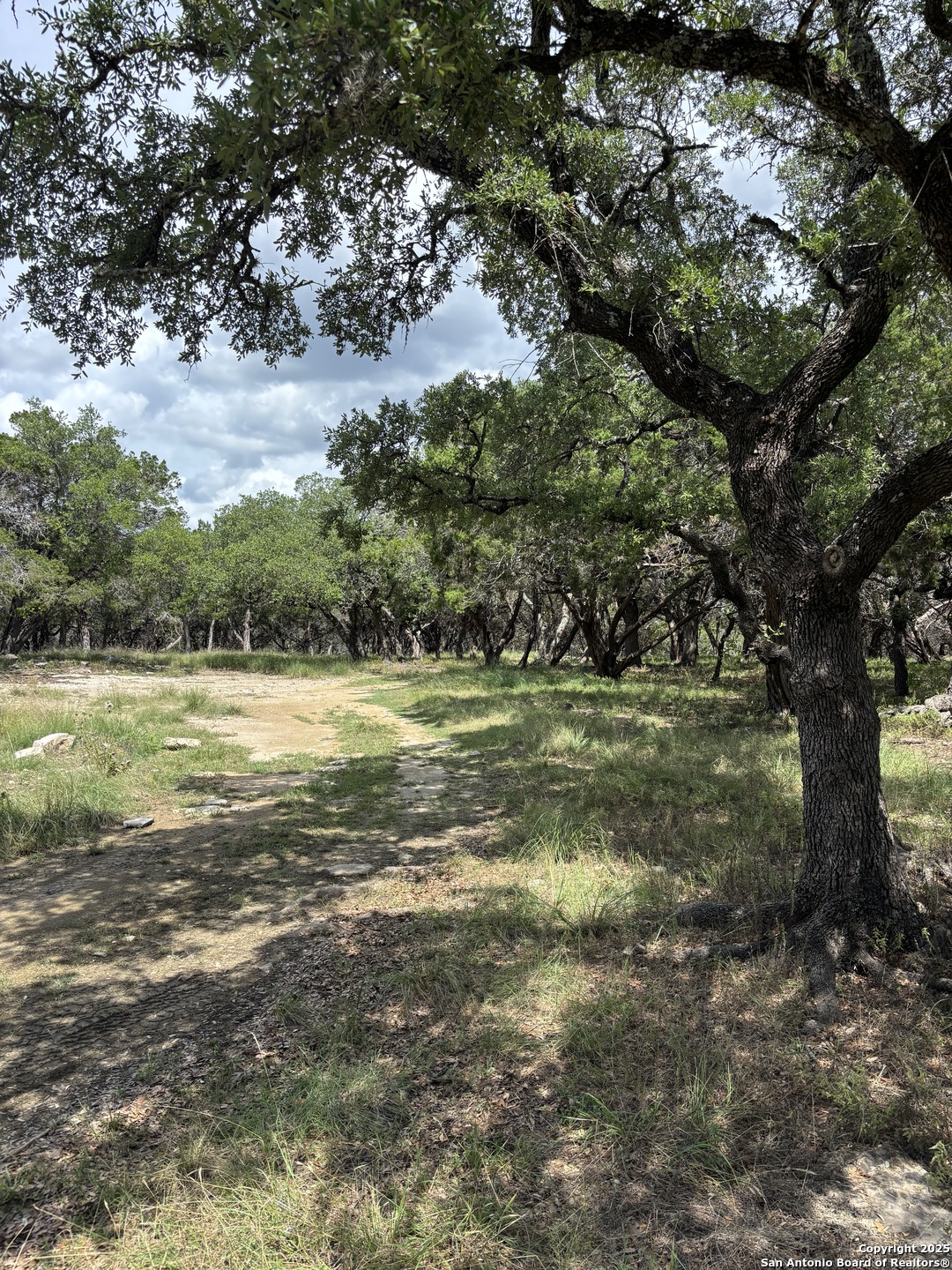 448 Waring Welfare Road Boerne, TX 78006 - Photo 8 of 14 a view of outdoor space with trees all around