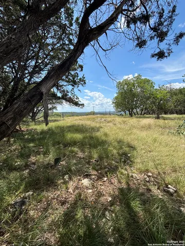 a view of a field with trees in the background
