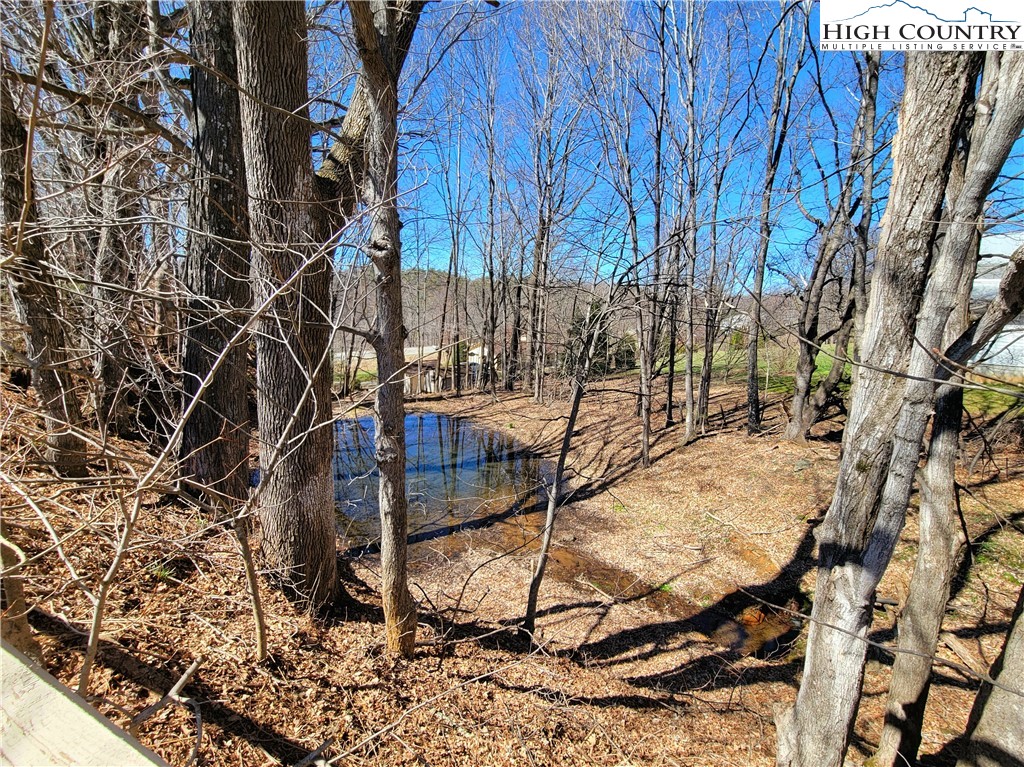 198 Lola Perry Road Zionville, NC 28698 - Photo 19 of 23 Gallery Image 19