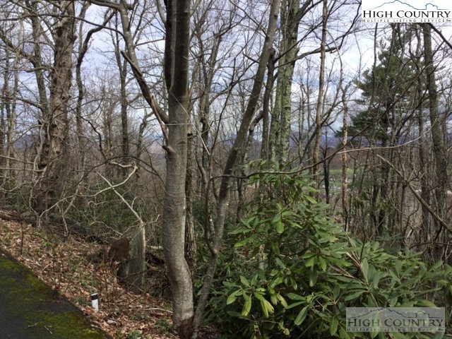 Lot 28 Milton Brown Heirs Road Boone, NC 28607 - Photo 1 of 2 Gallery Image 1