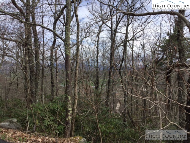 Lot 28 Milton Brown Heirs Road Boone, NC 28607 - Photo 2 of 2 Gallery Image 2